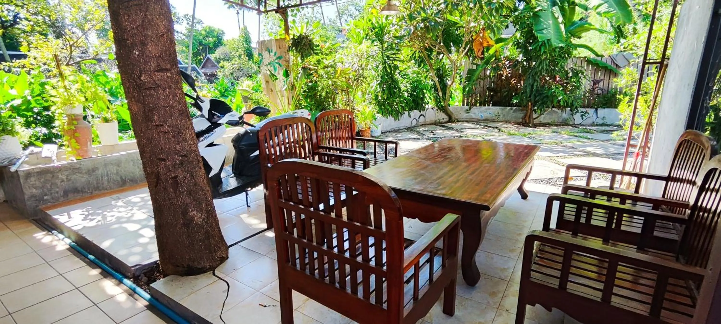 Garden in Villa KiengKham晶康民宿