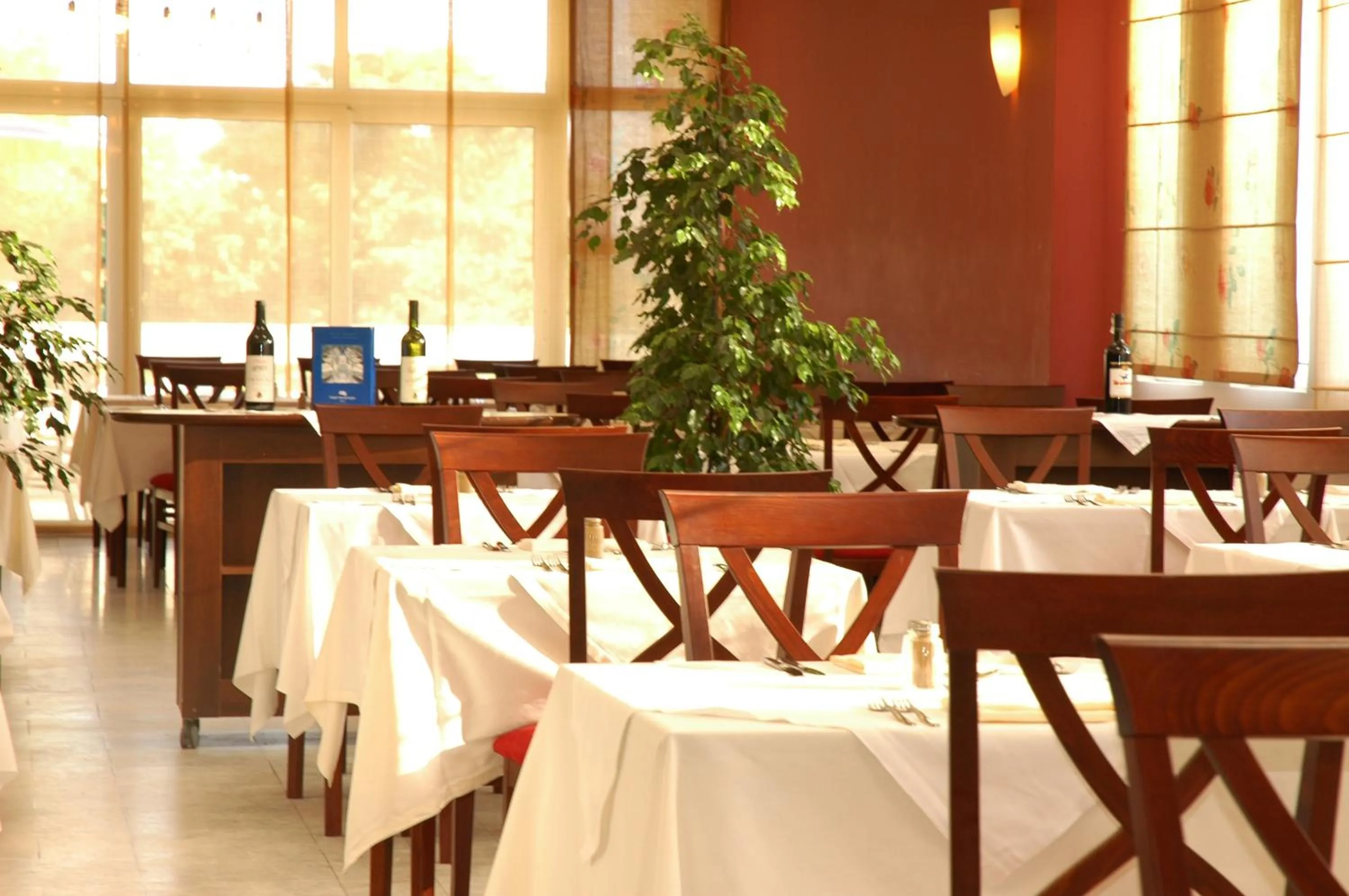 Restaurant/places to eat in Hotel Montenegro