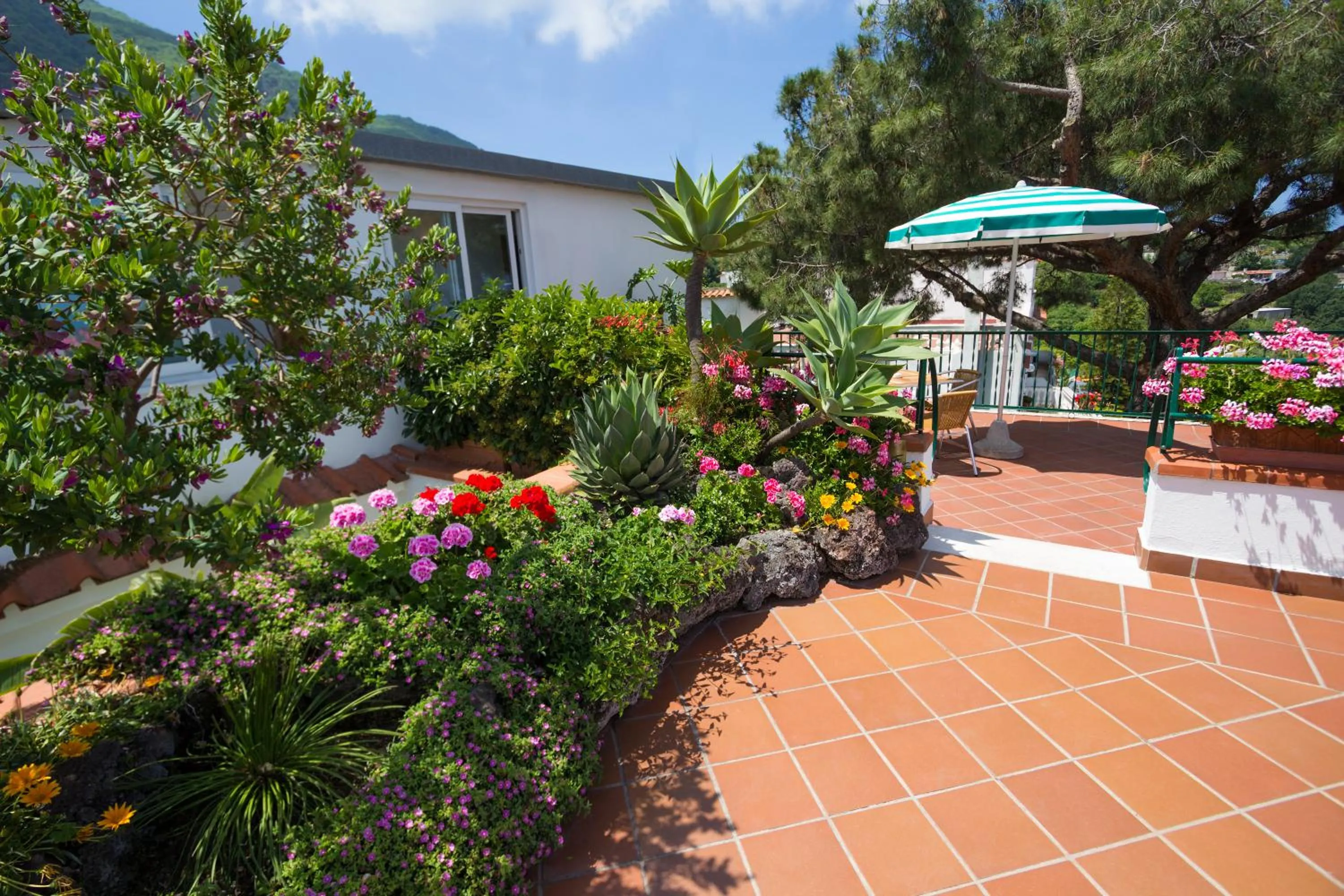 Garden in Hotel Villa Sirena - Thermae & SPA
