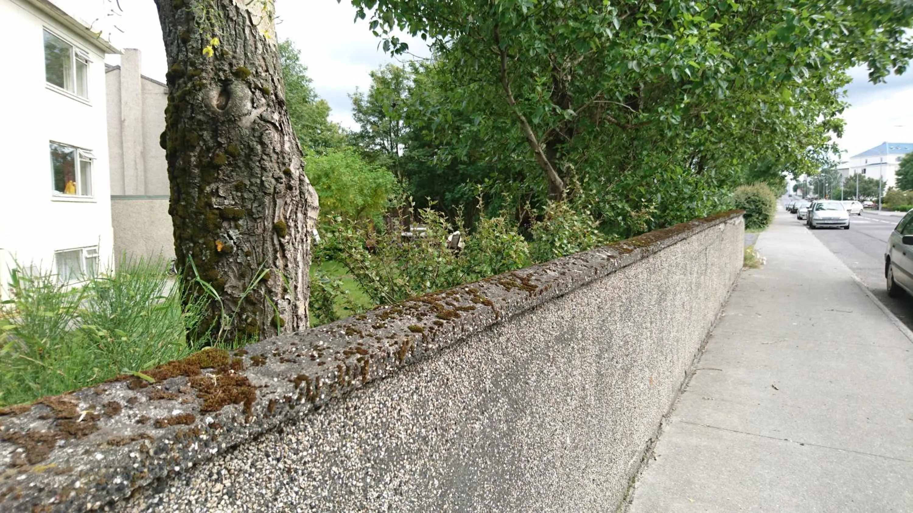 Street view in Alba Guesthouse