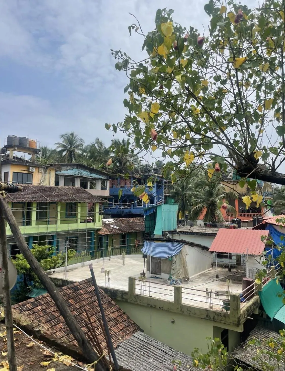 View (from property/room) in 12 Monks - Beachfront Hostel