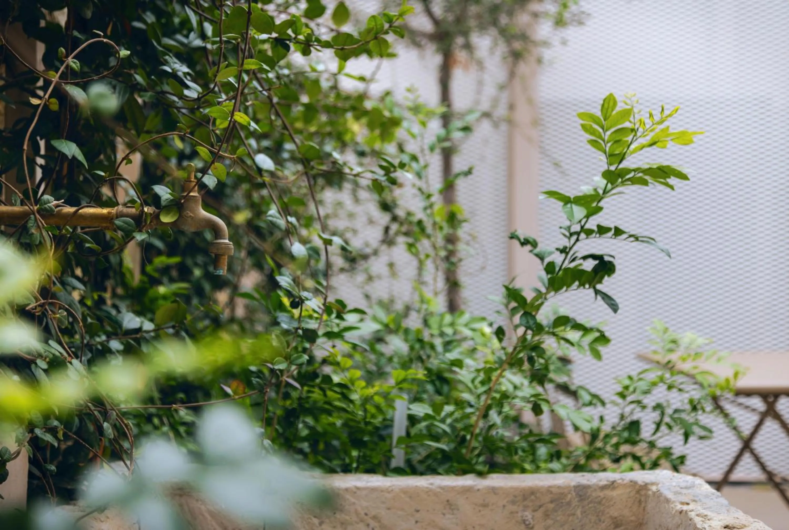 Garden in Heart Hotel