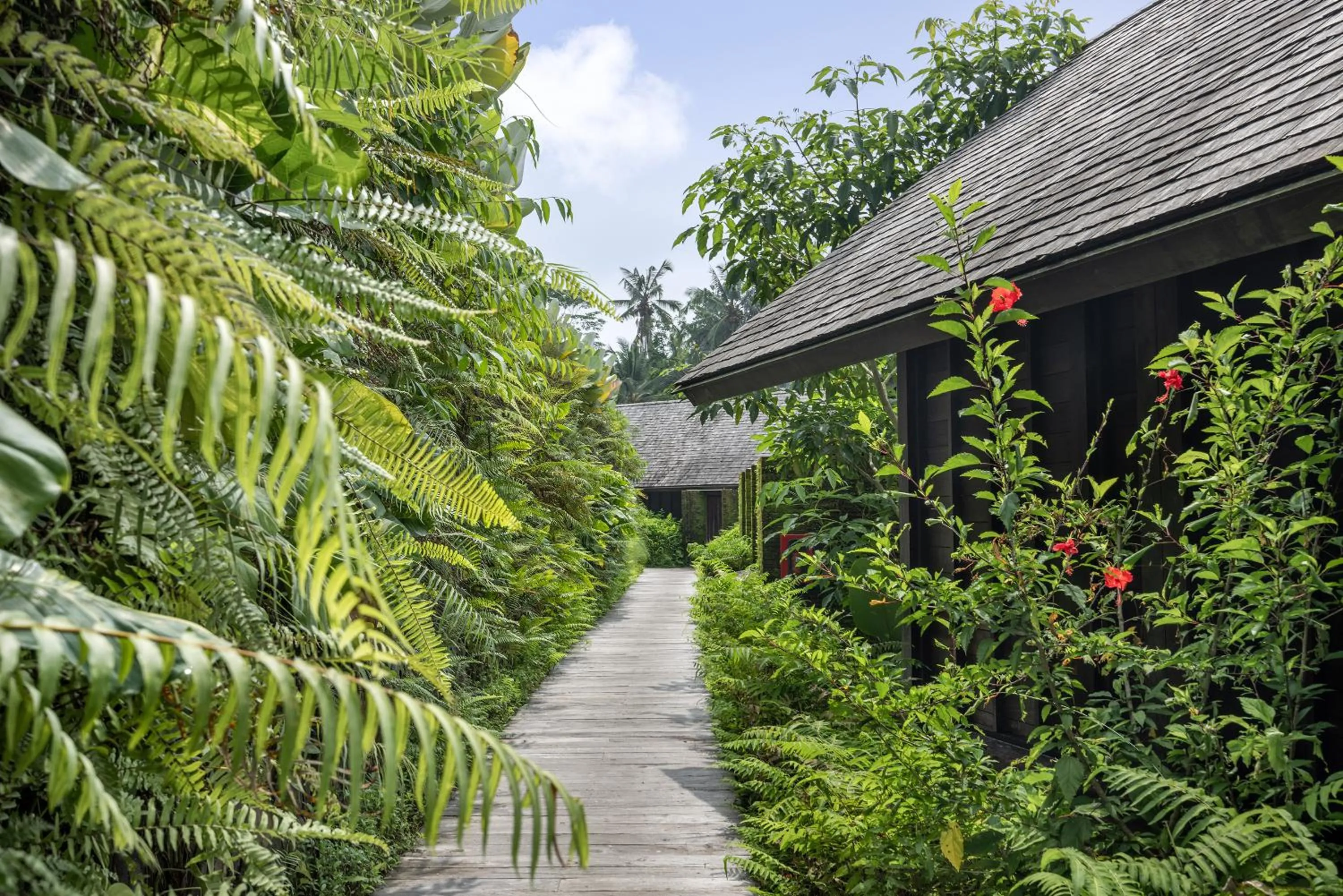 Garden in Hideaway Villas Bali - Ubud by Kanaan Hospitality