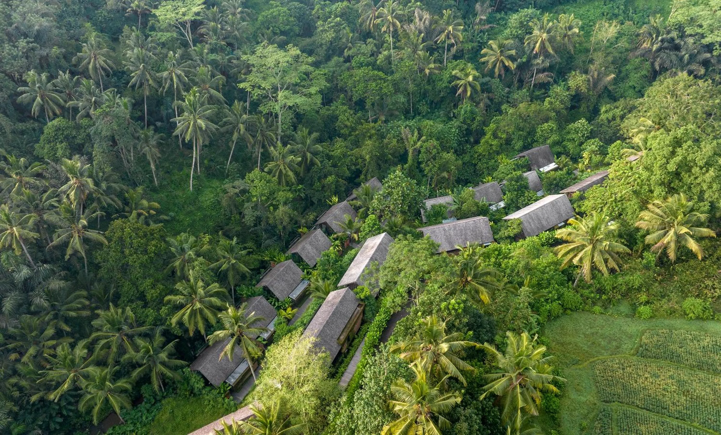 Natural landscape in Hideaway Villas Bali - Ubud by Kanaan Hospitality