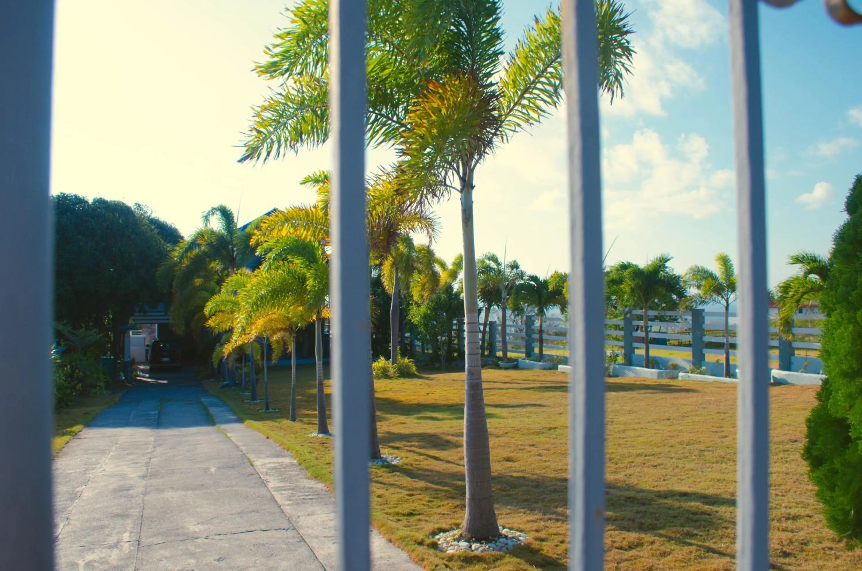 Garden in The Lighthouse