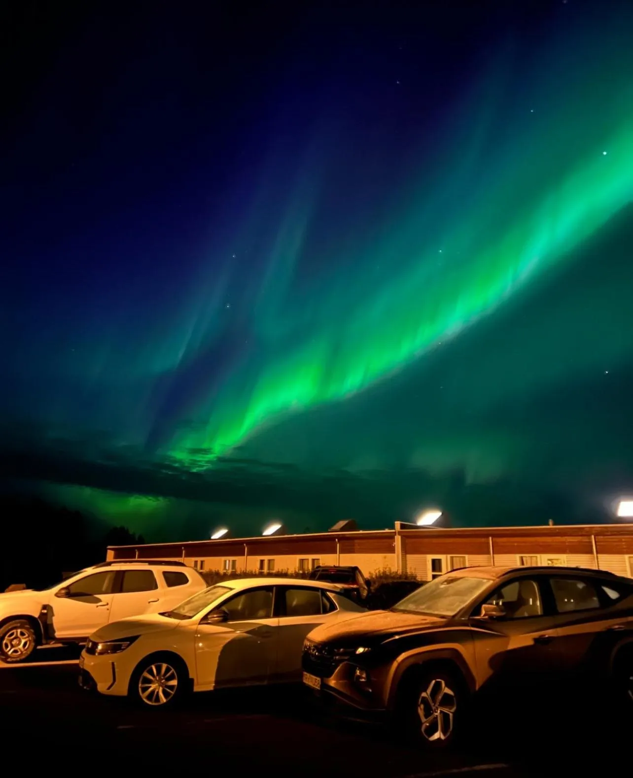 Natural landscape in Hotel Hamar