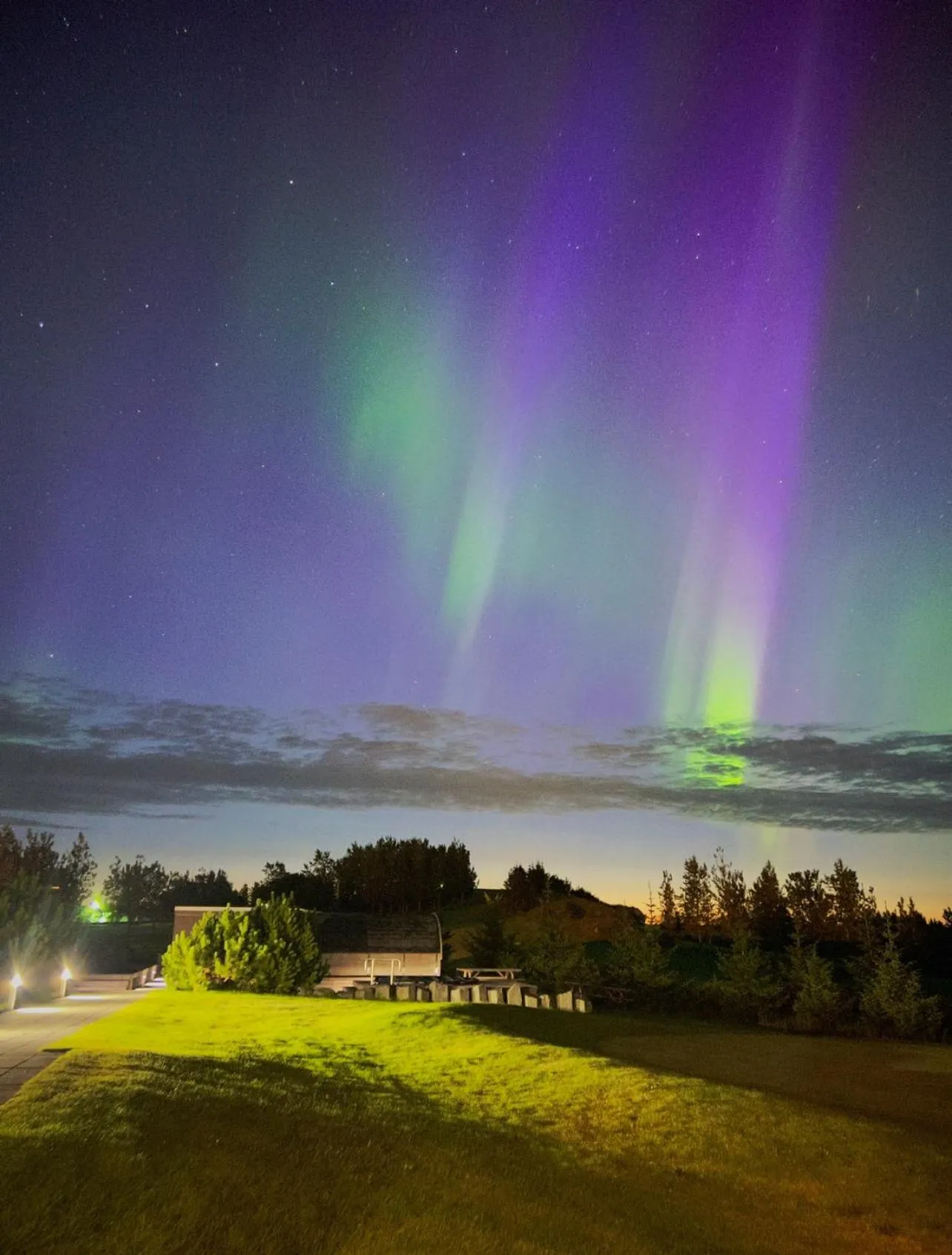 Natural landscape in Hotel Hamar