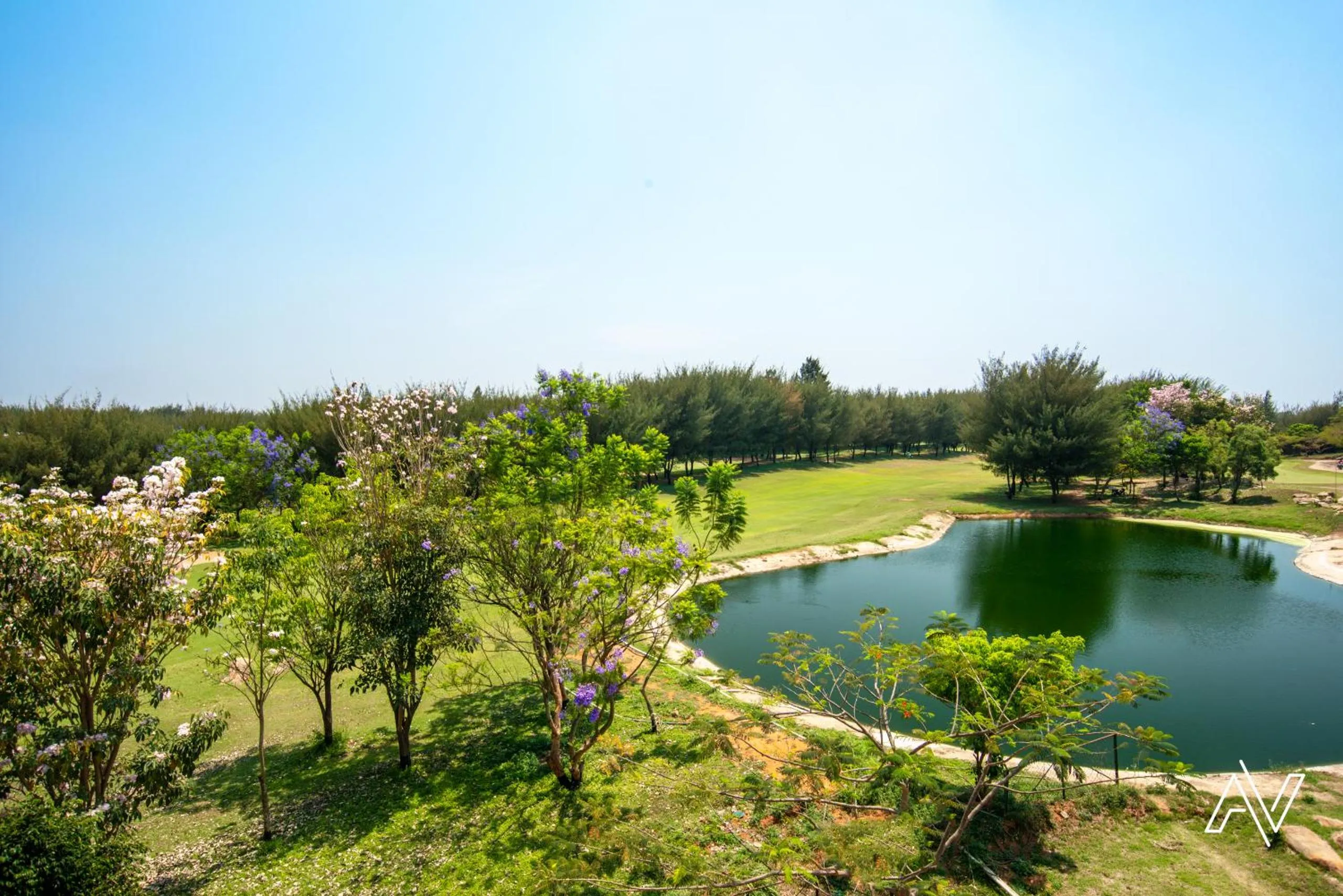 Golfcourse in Clover Greens Golf Course and Resort