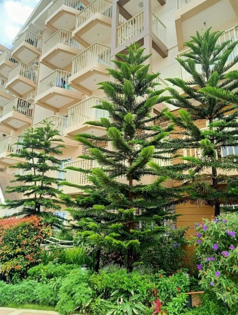 Cozy and Private Condo in Baguio