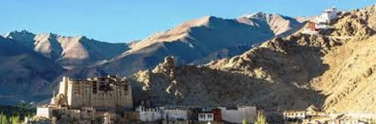 Hotel Bergo Residency - Leh