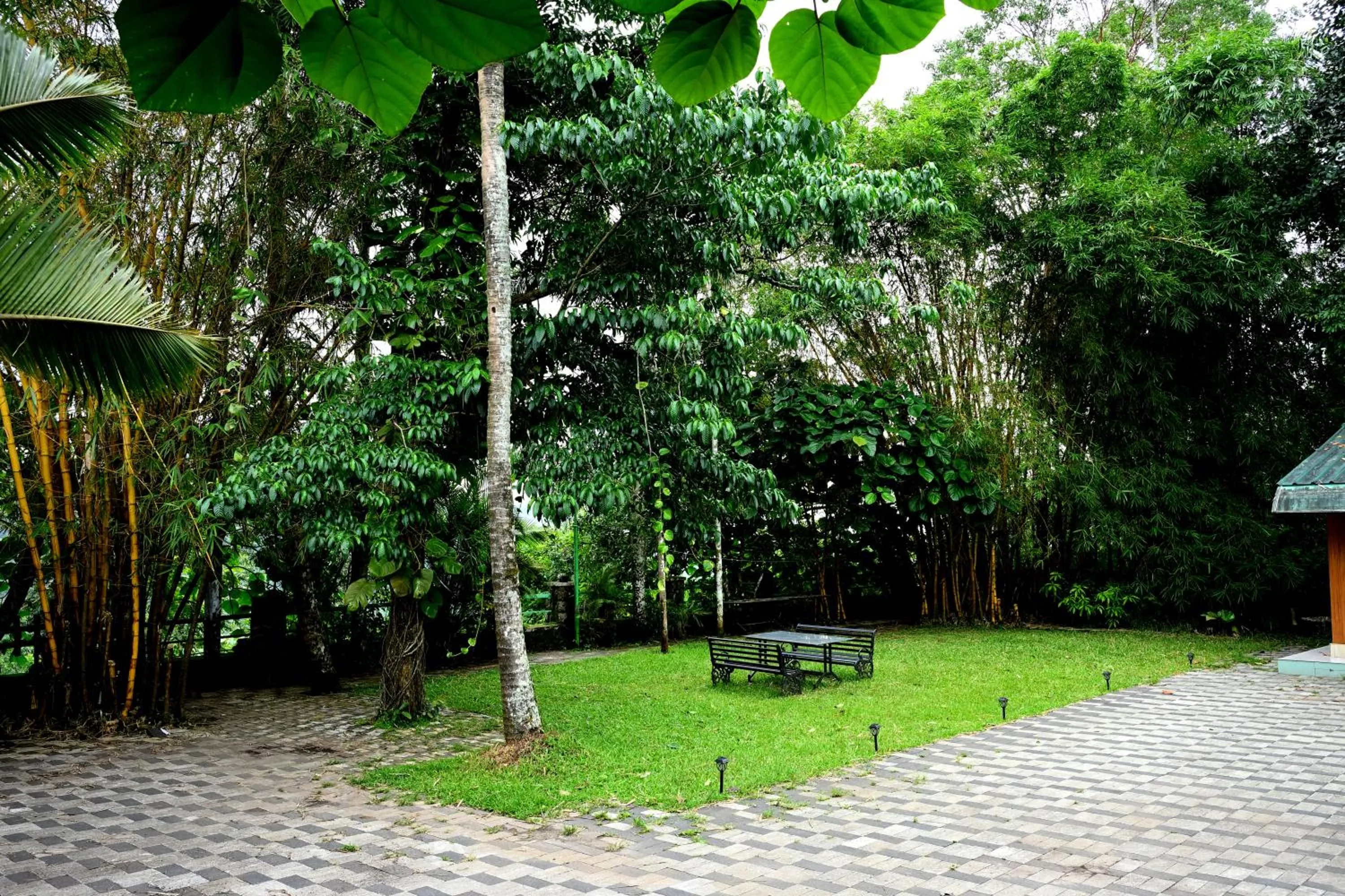 View (from property/room) in Spring Muunnar, Munnar