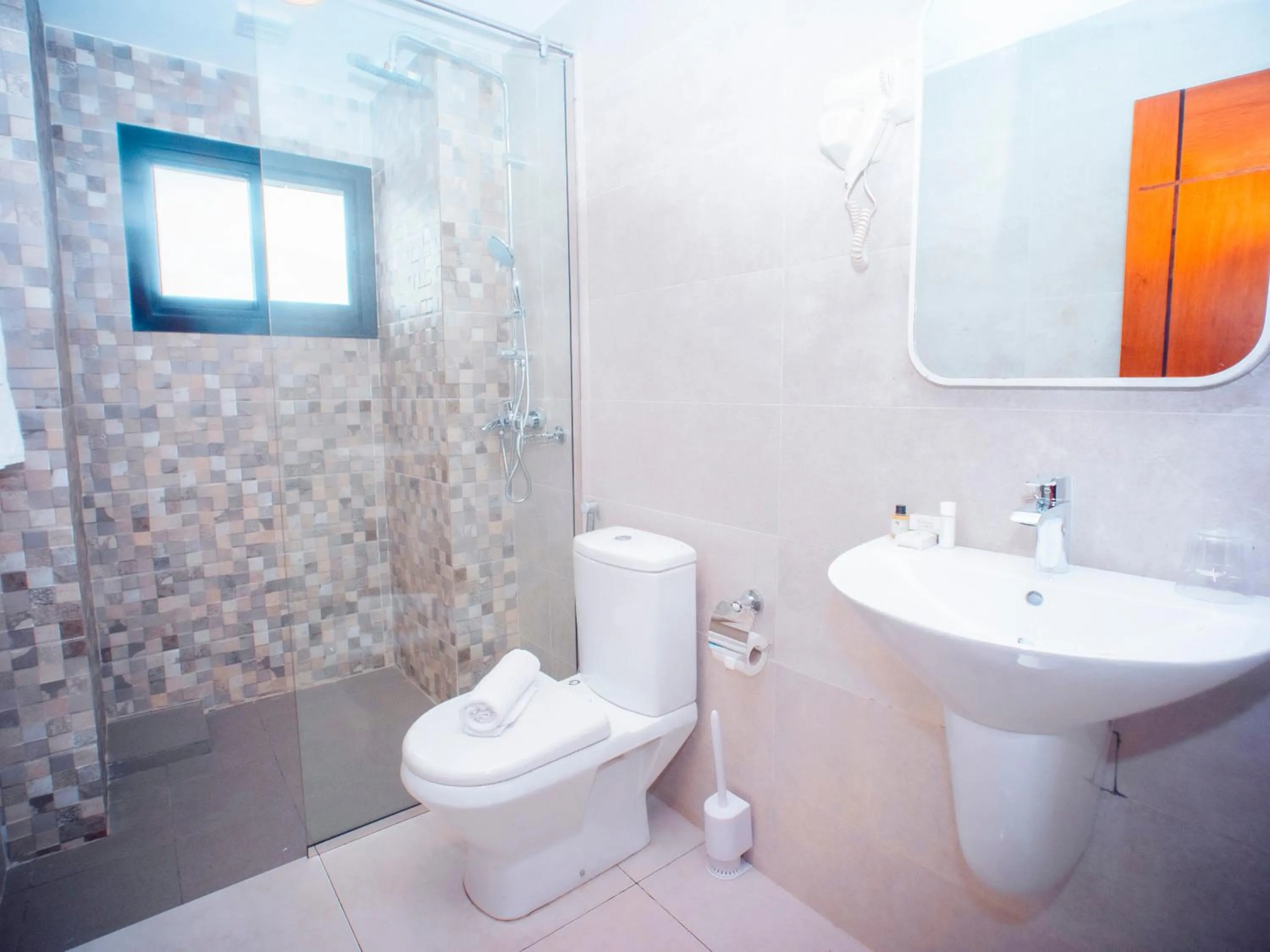 Toilet in Geneva Hotel