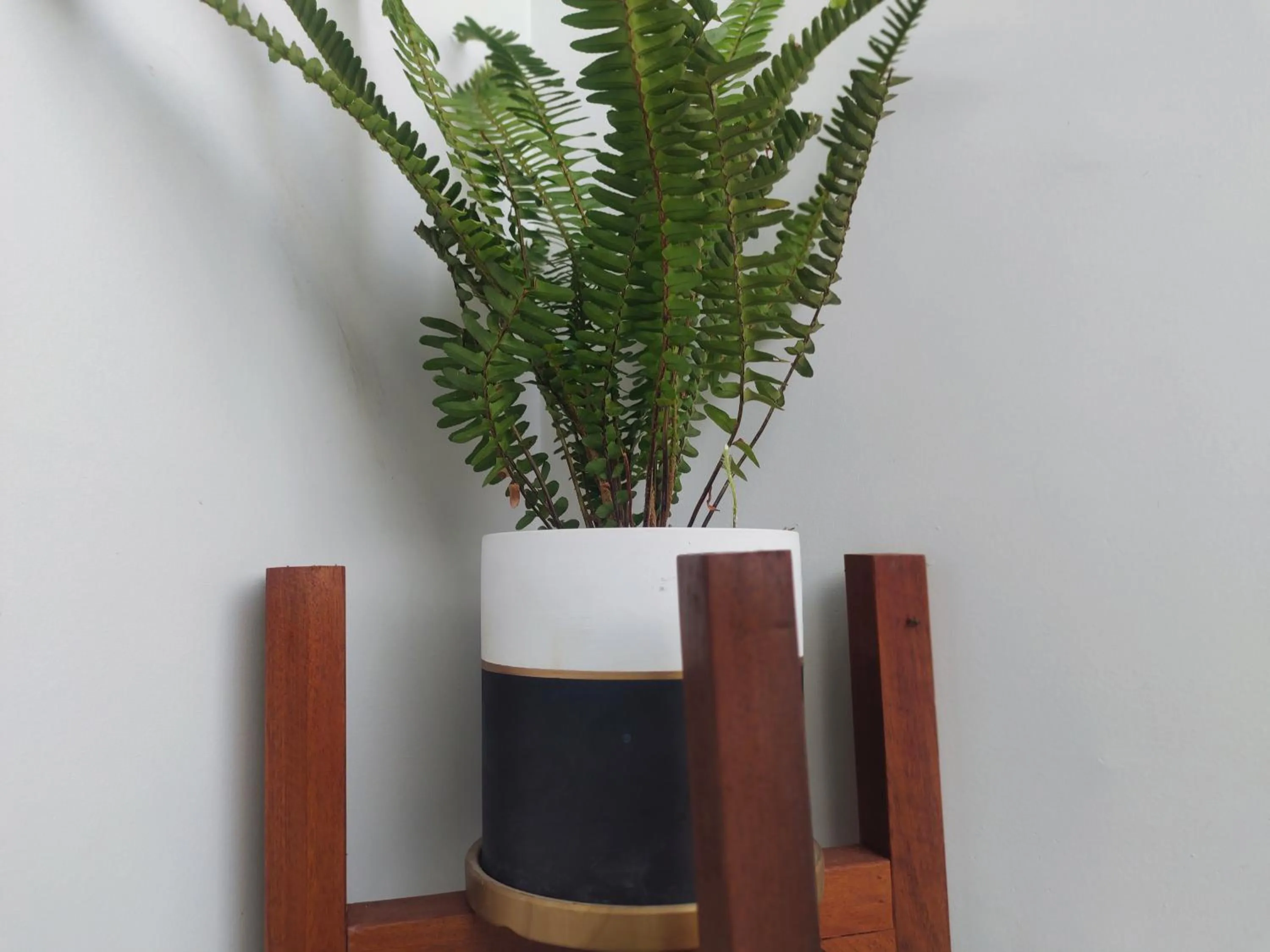 Decorative detail in H&M Boutique