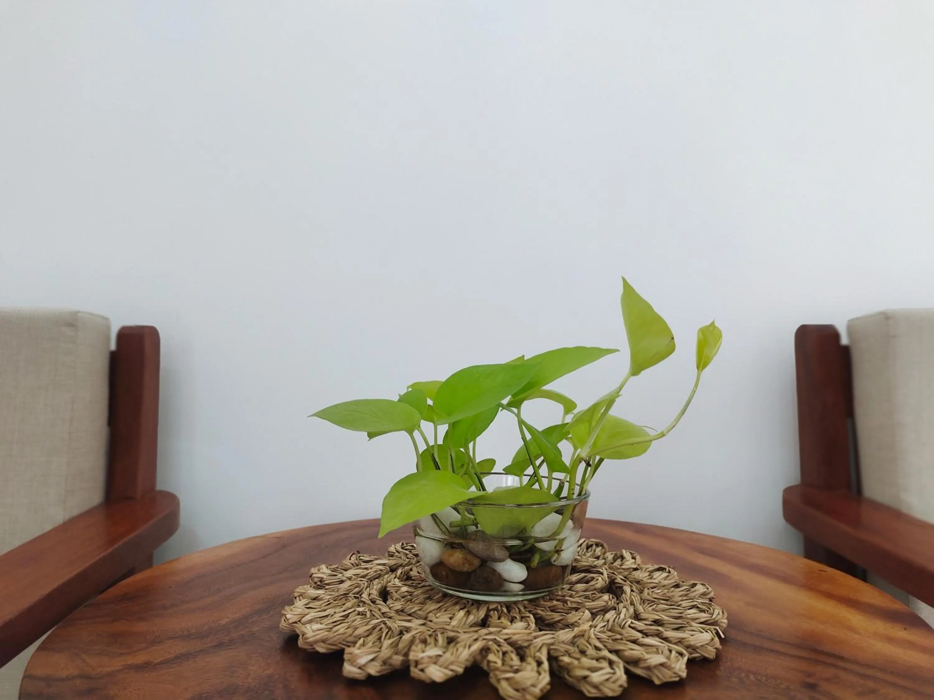 Decorative detail in H&M Boutique