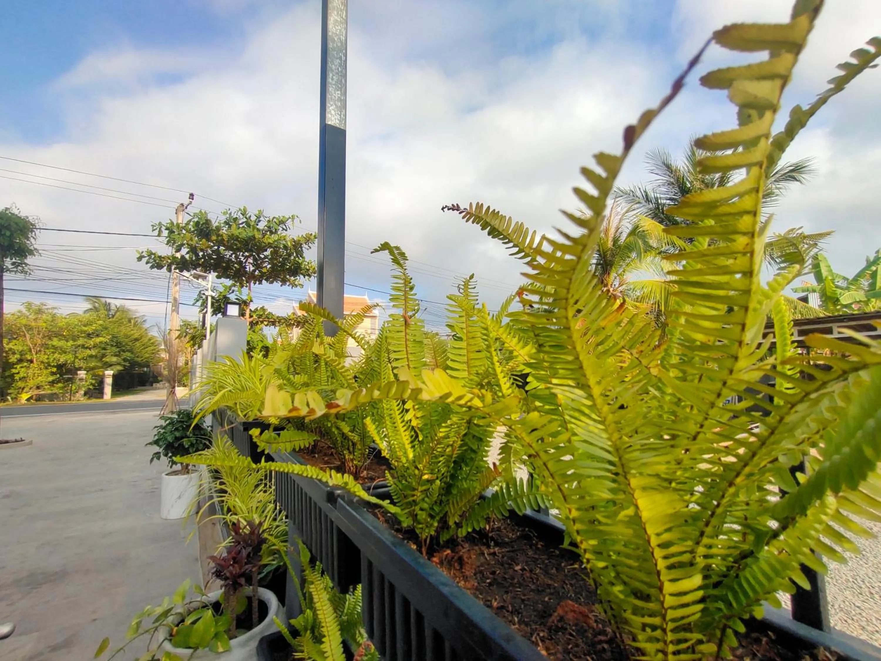 Garden in H&M Boutique
