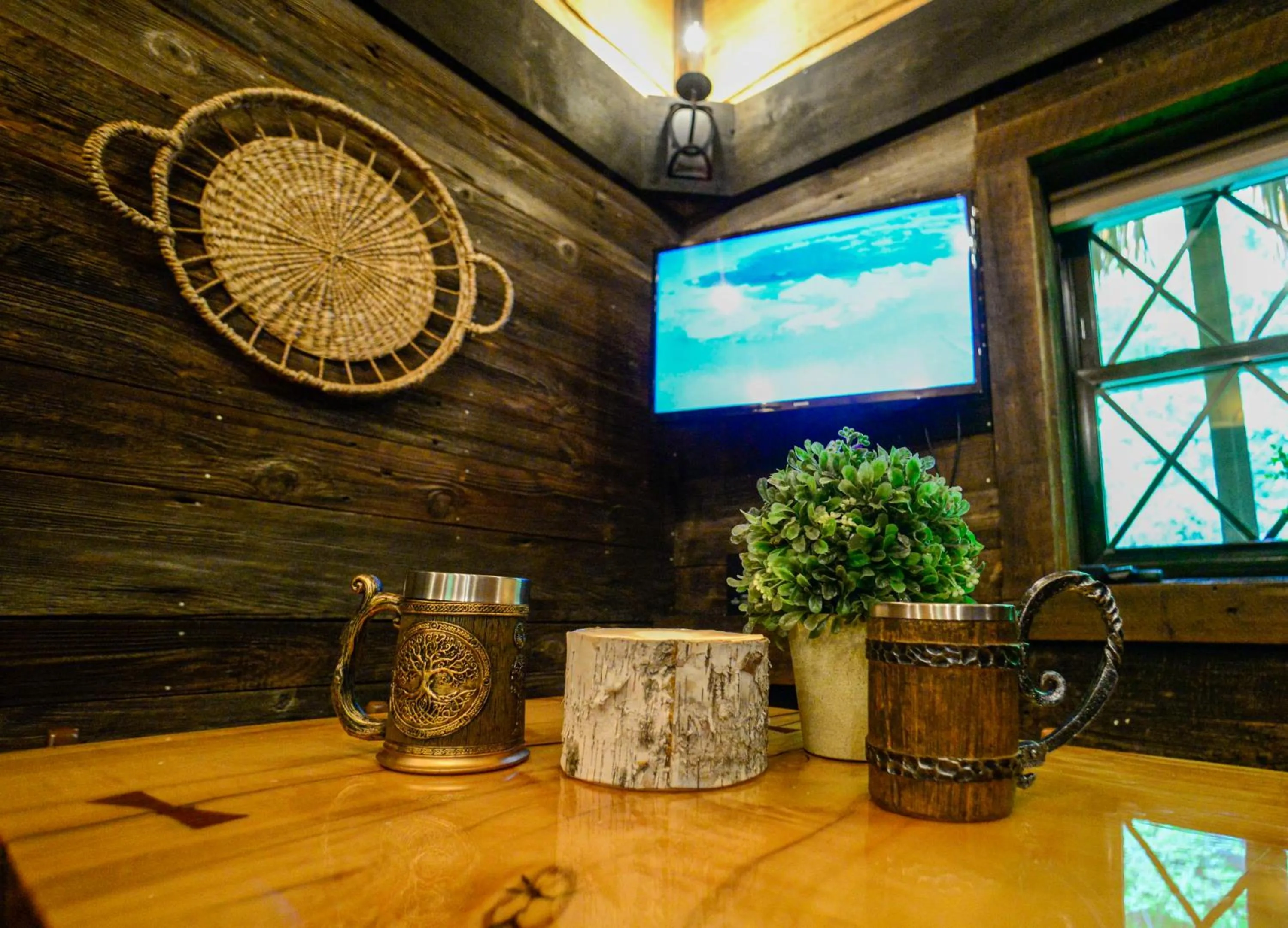 TV and multimedia in Vikings Villages Resort