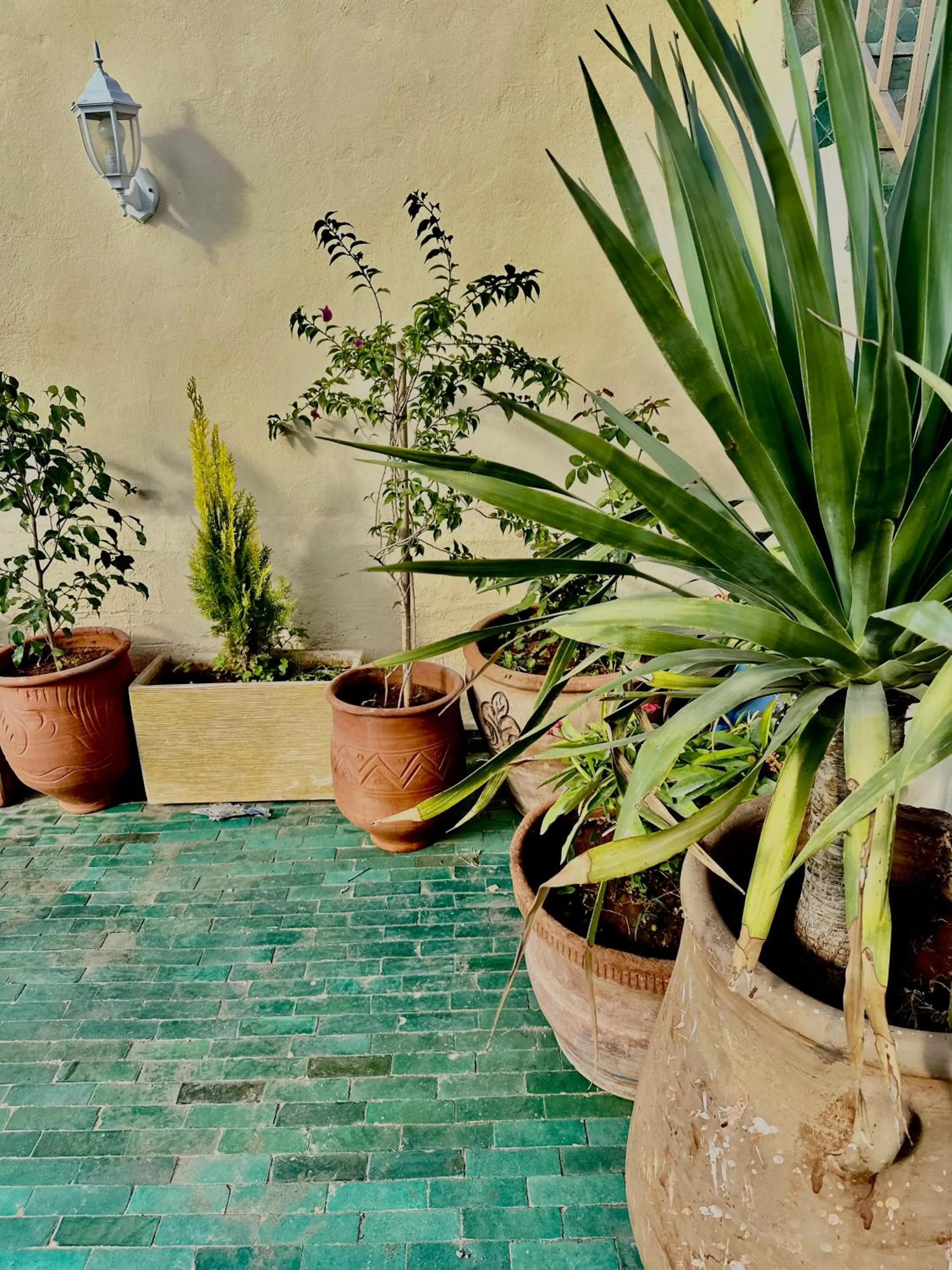 Balcony/Terrace in Riad Damia Suite & Spa