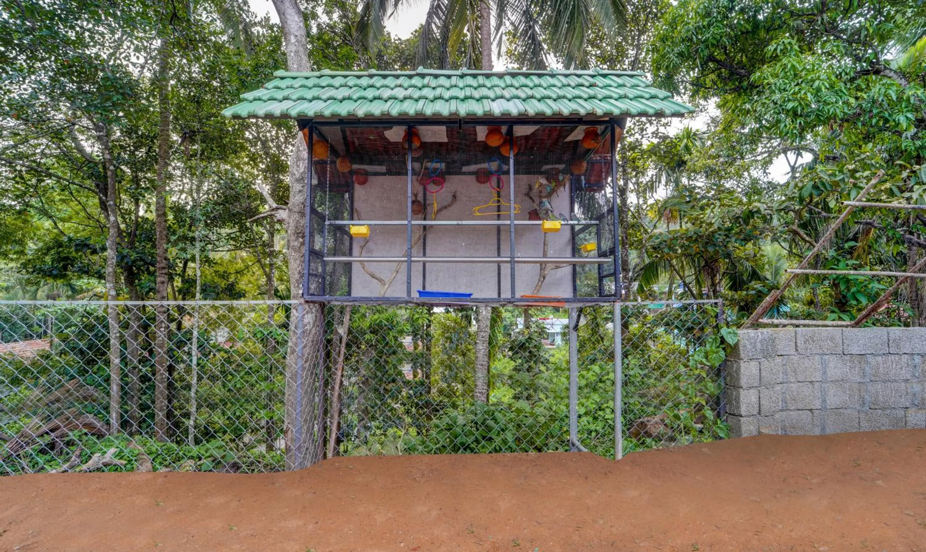 Day in Treebo Regalia Inn Wayanad