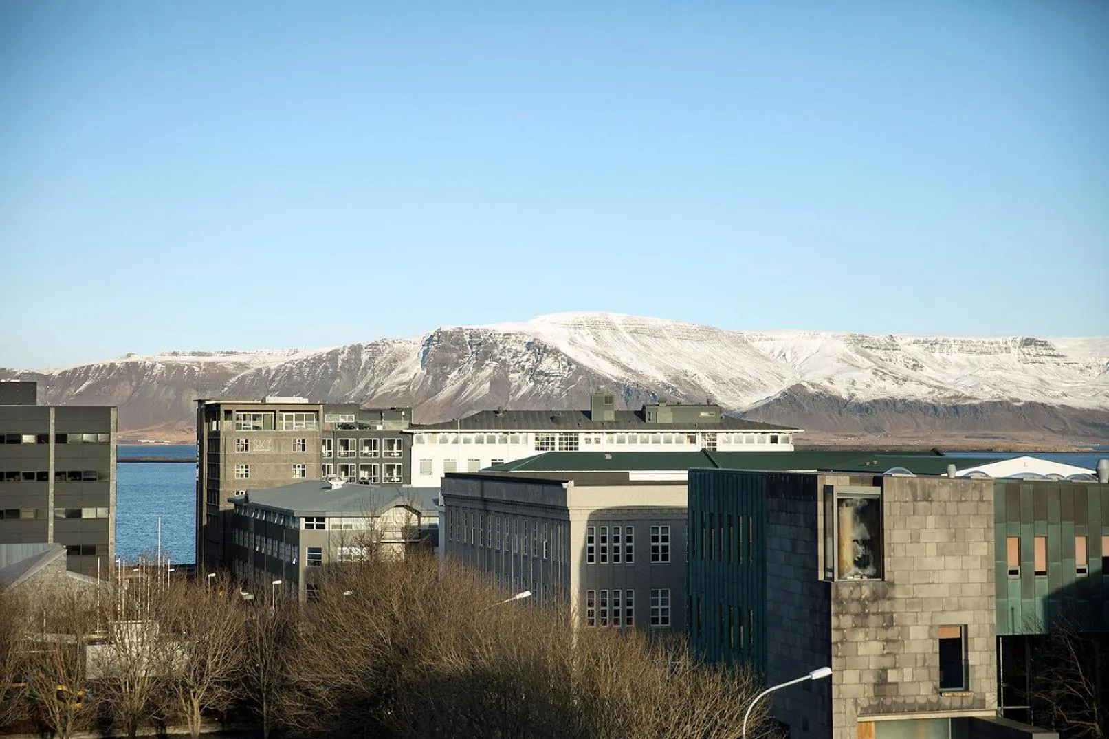 101 Hotel, a Member of Design Hotels