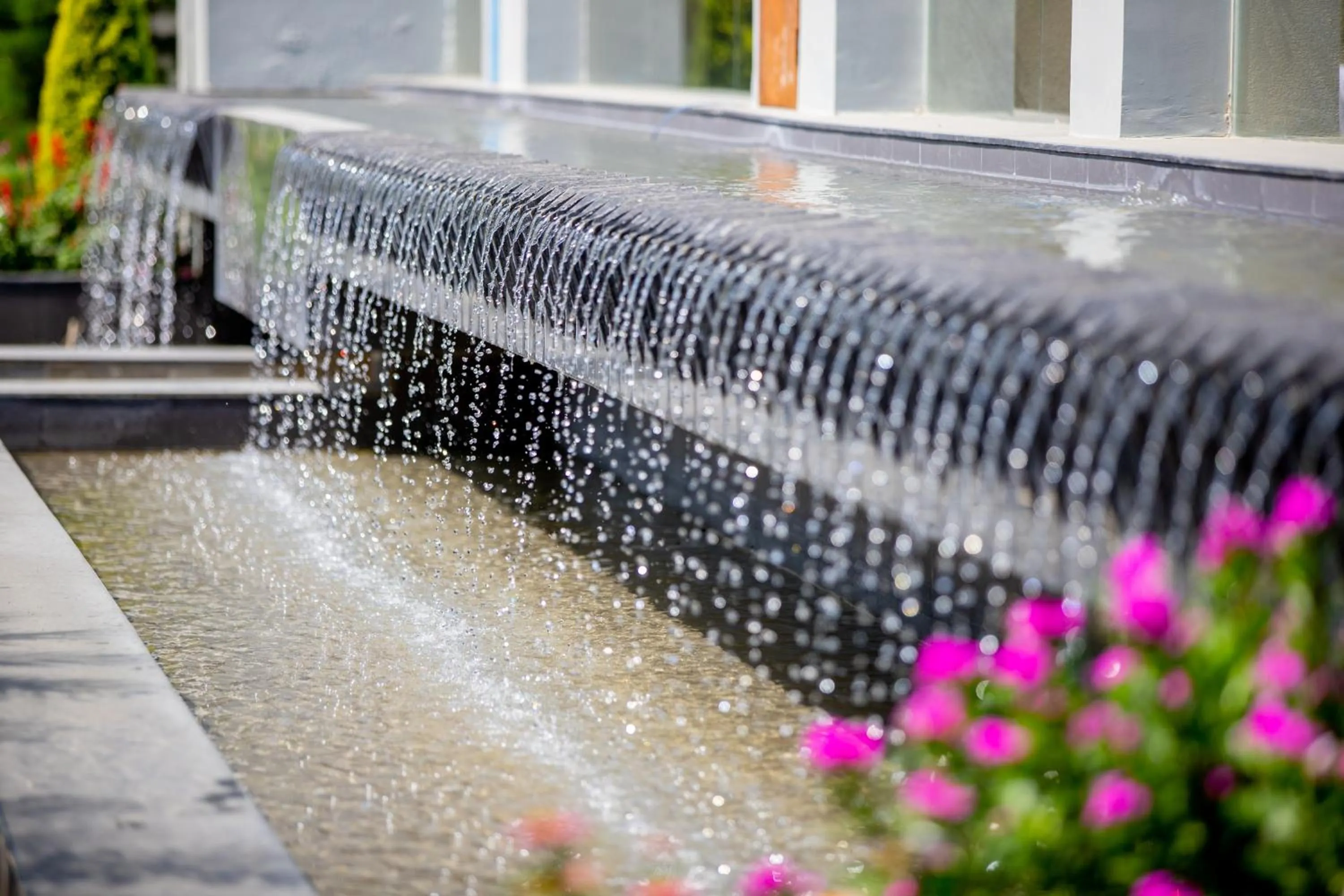 Garden in Siddhartha Vilasa, Bhairahawa