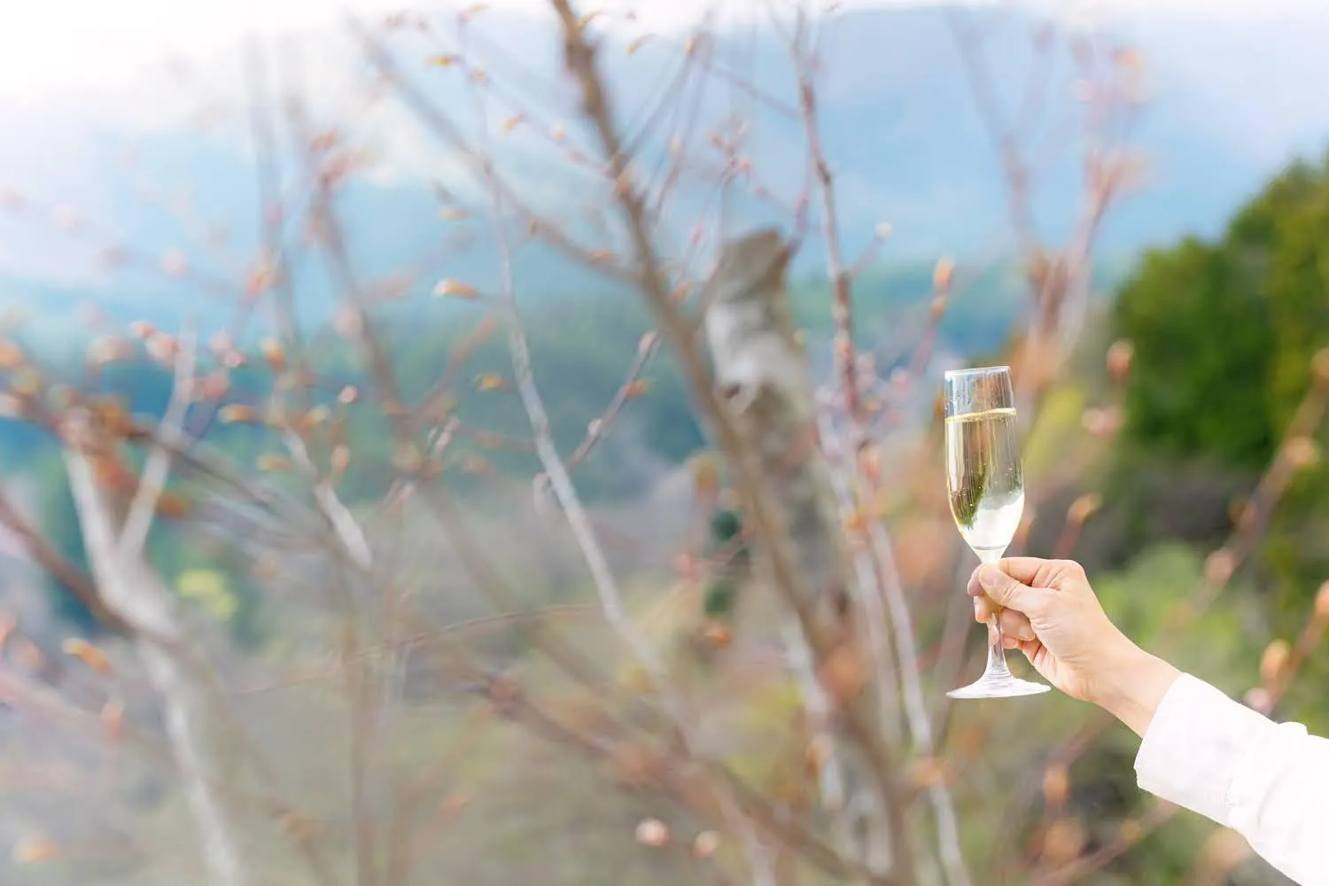 Spring in Shelter Garden Nikko