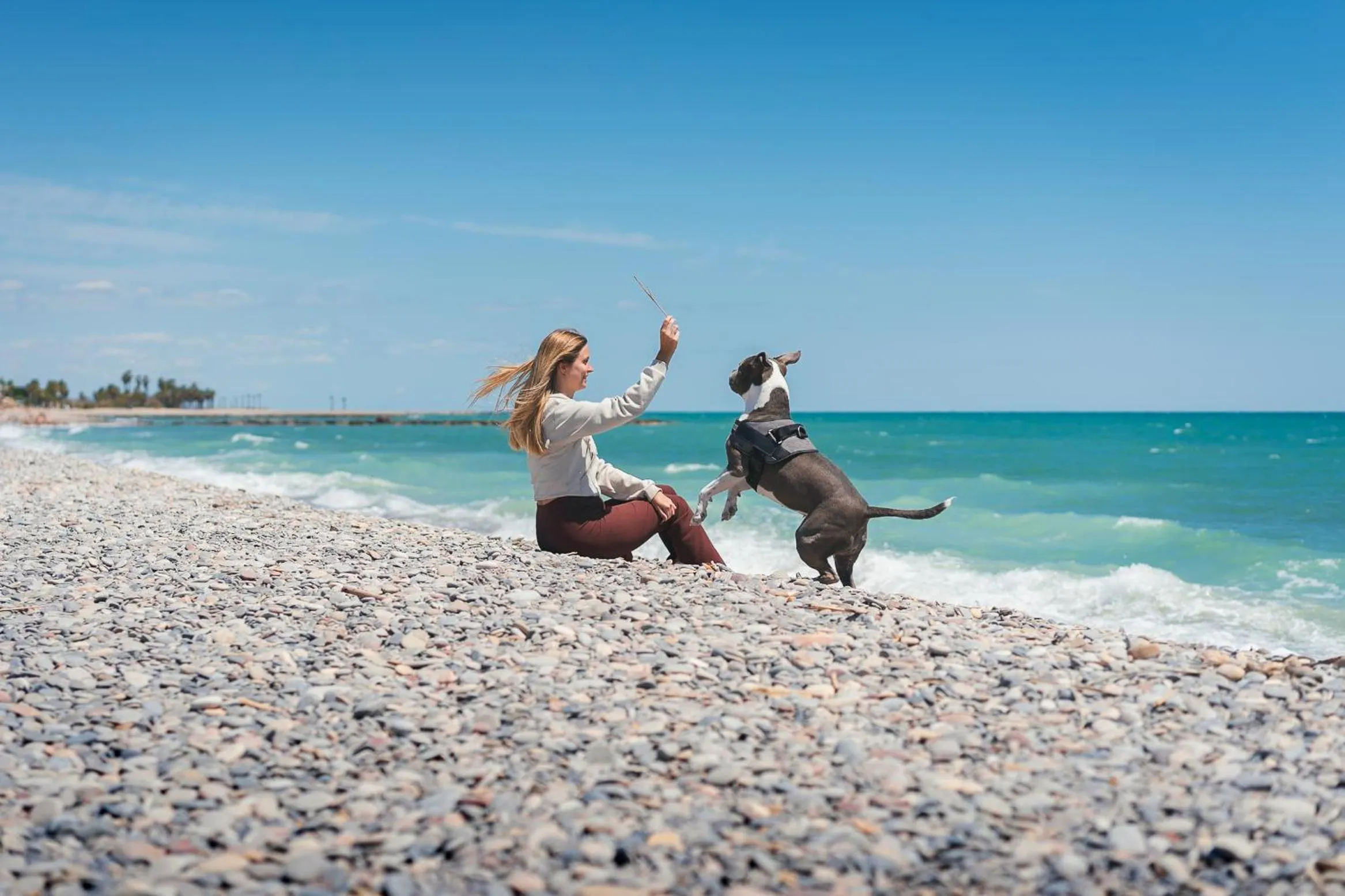 Beach in HolaCamp Chilches
