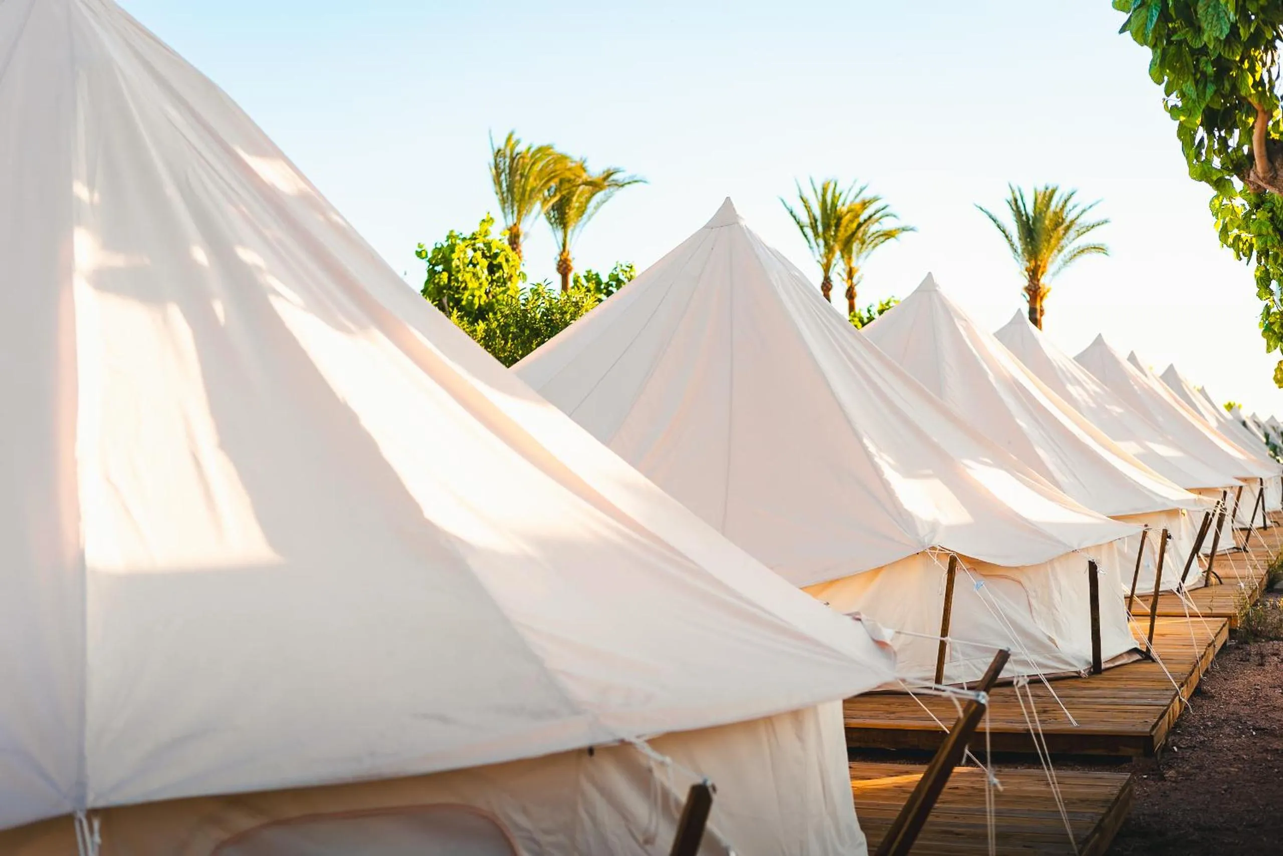 Decorative detail in HolaCamp Chilches