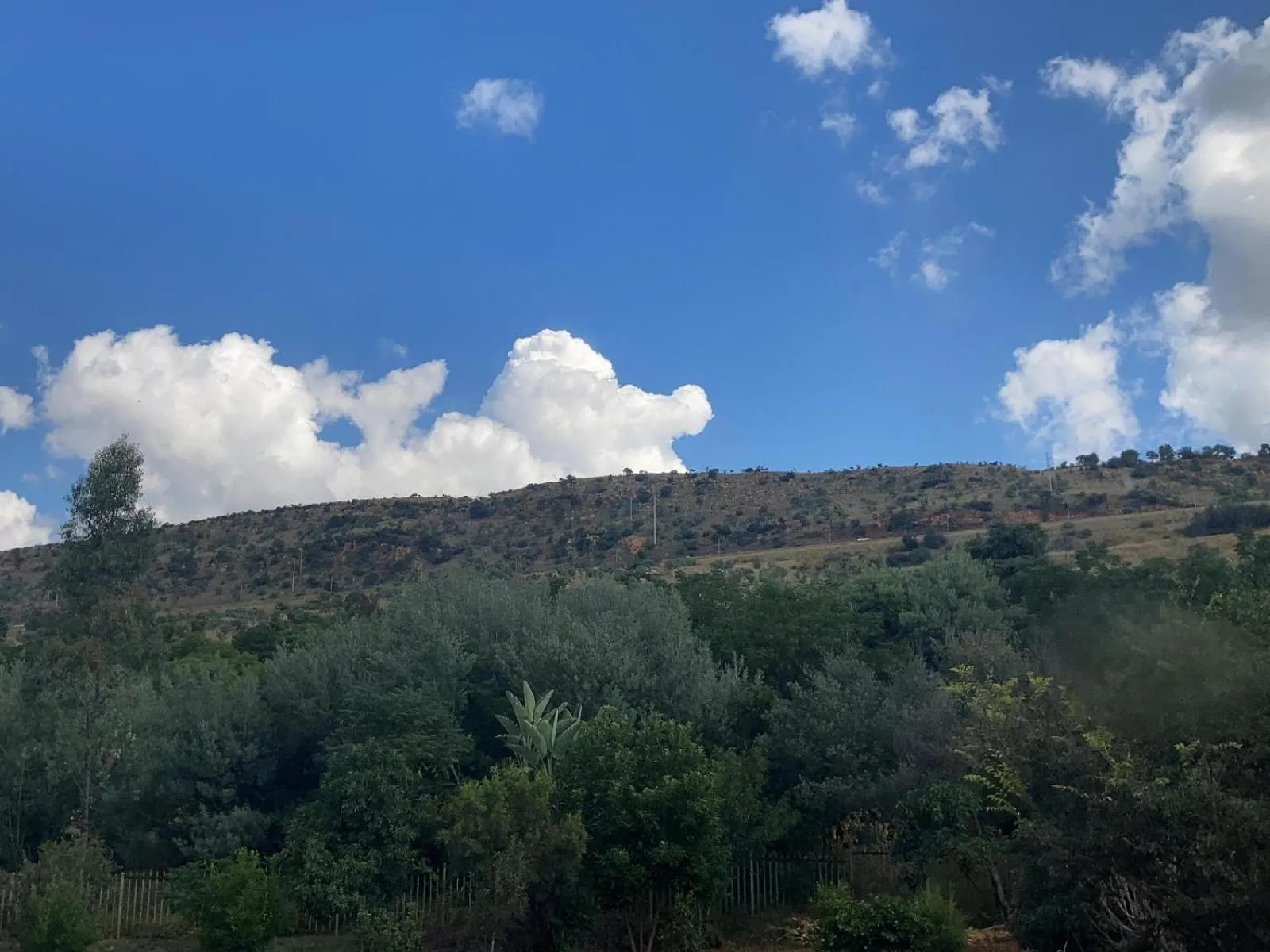 Mountain view in Cradle Mount Hotel