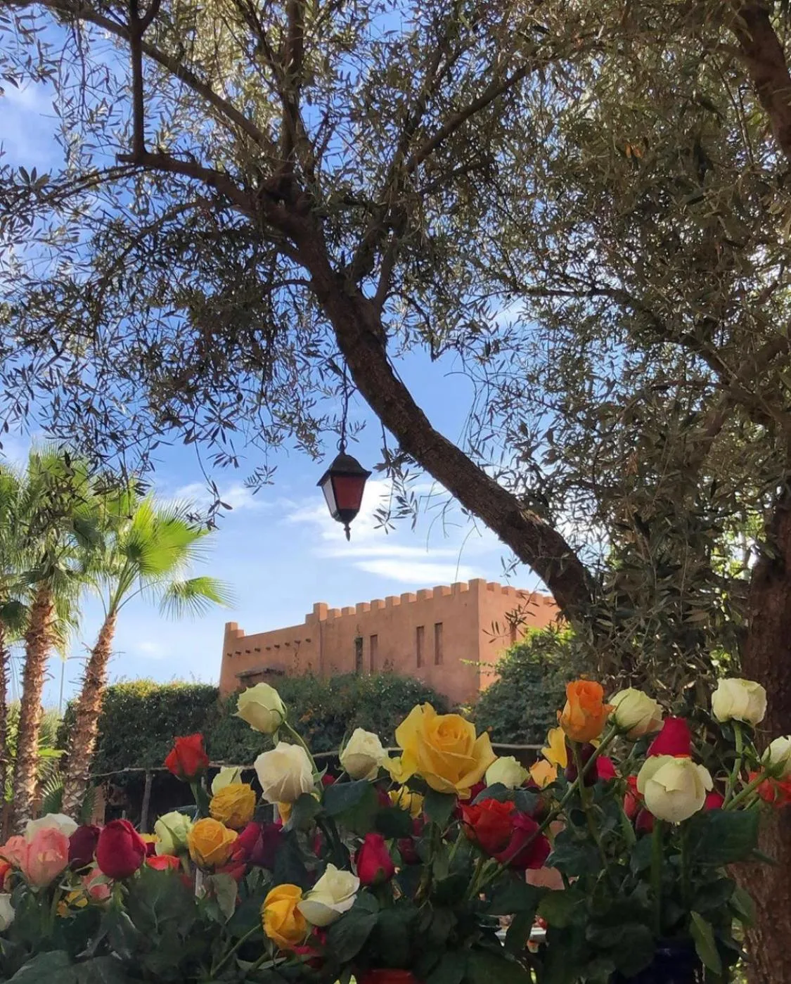 Garden in Jnane Leila