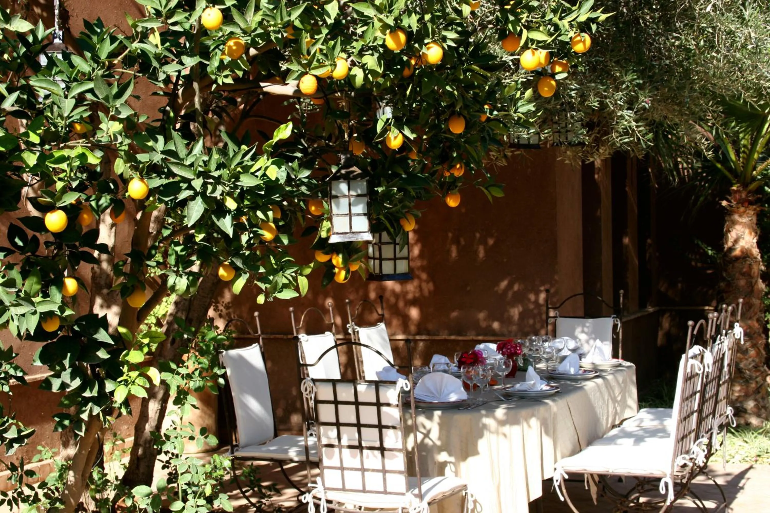 Restaurant/places to eat in Jnane Leila