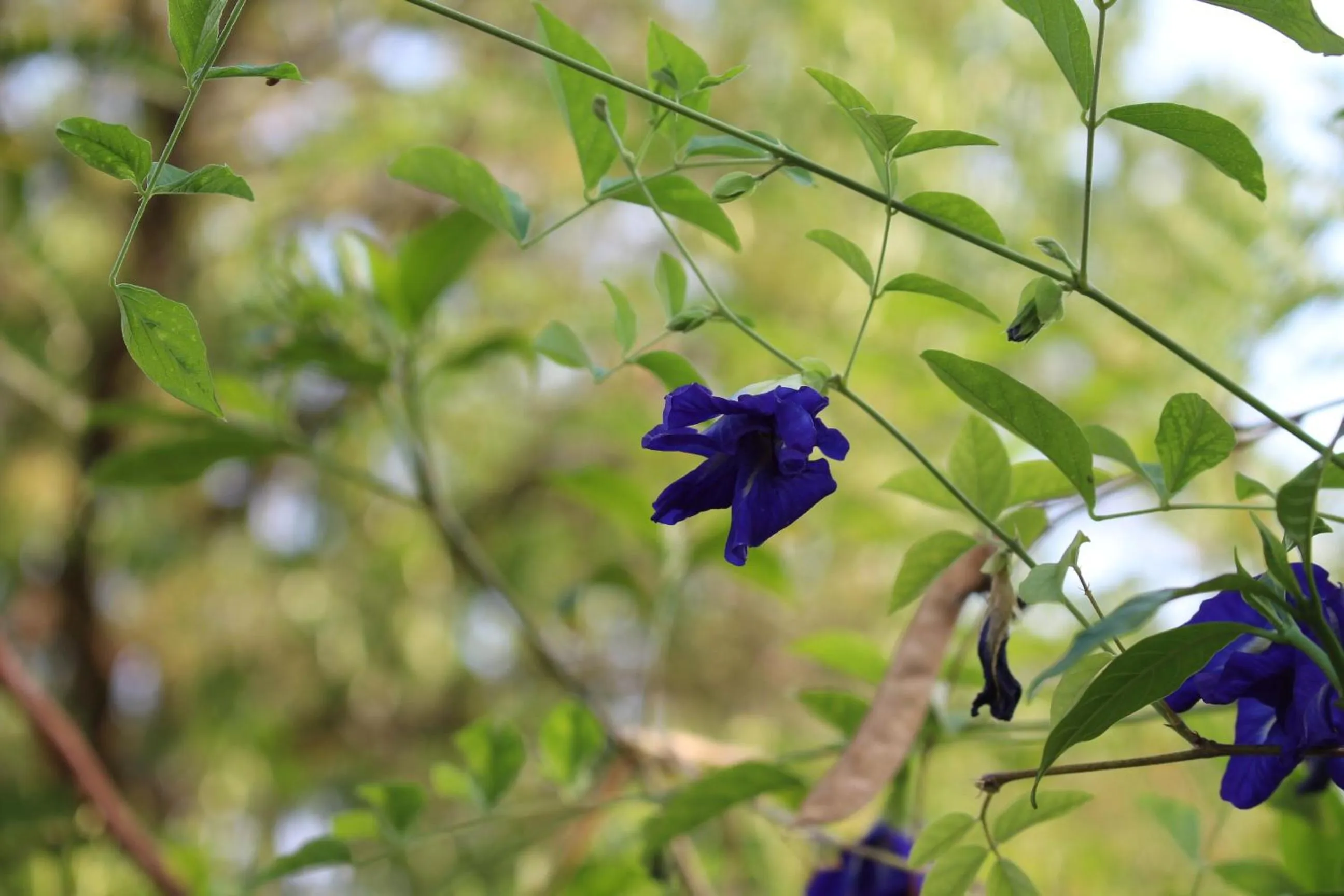 Facade/entrance in OYO 75420 Howto Hotel