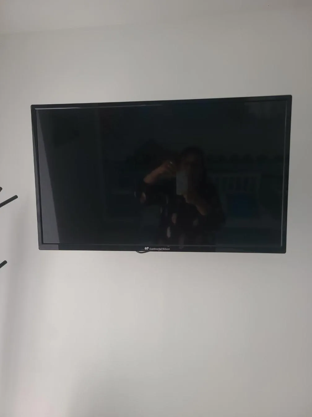 TV and multimedia in L'escale Romanesque