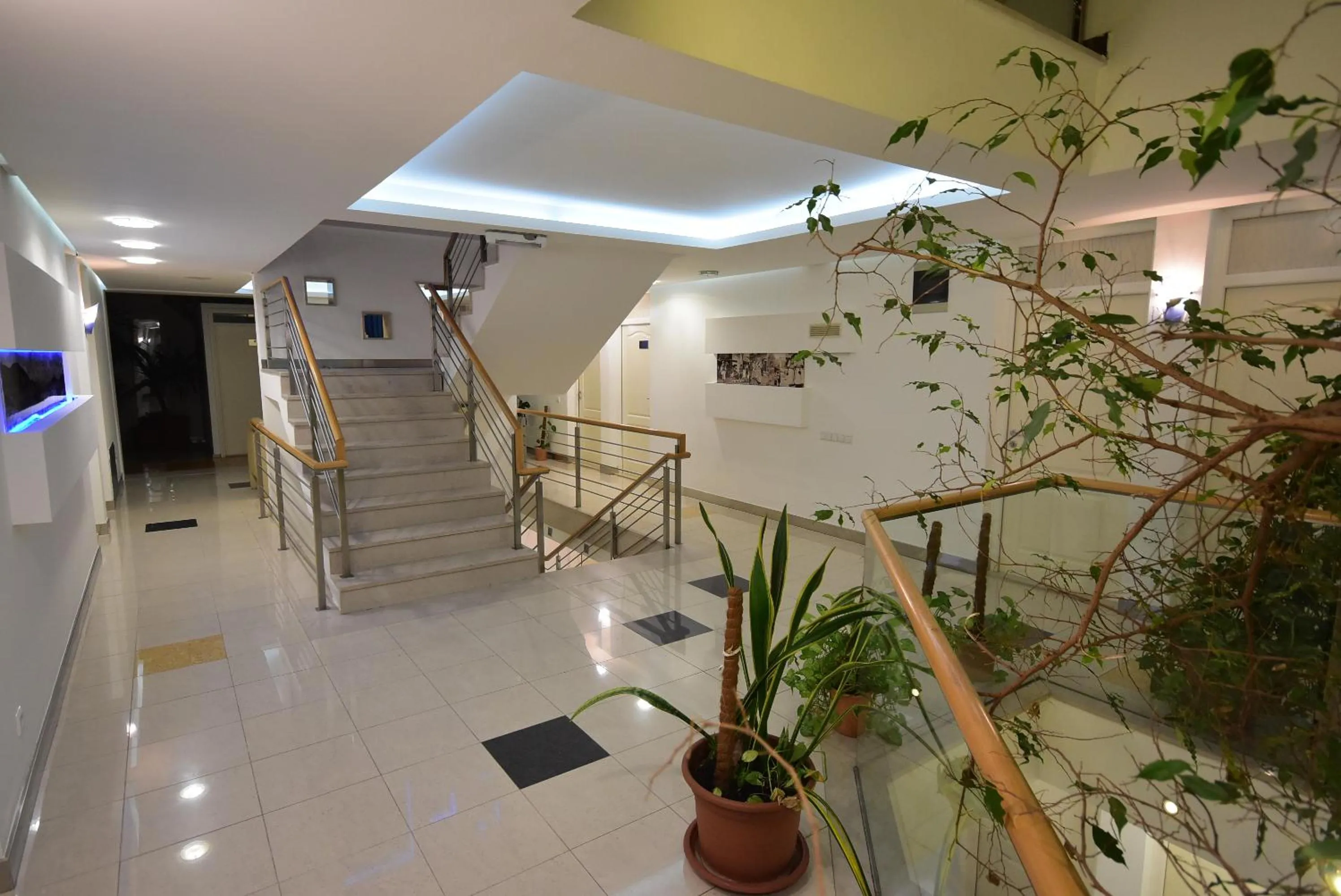 Area and facilities in Hotel Hecco