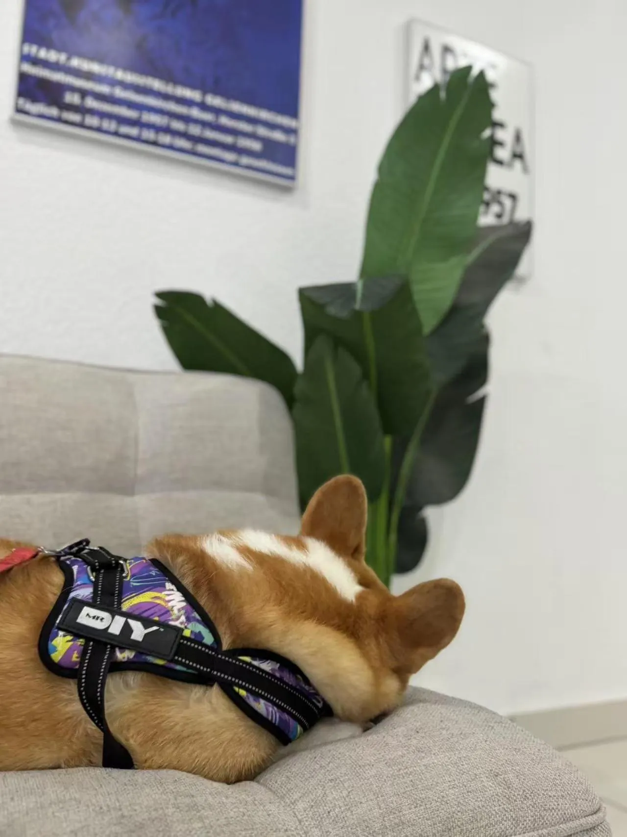 Mona Lisa pool villa