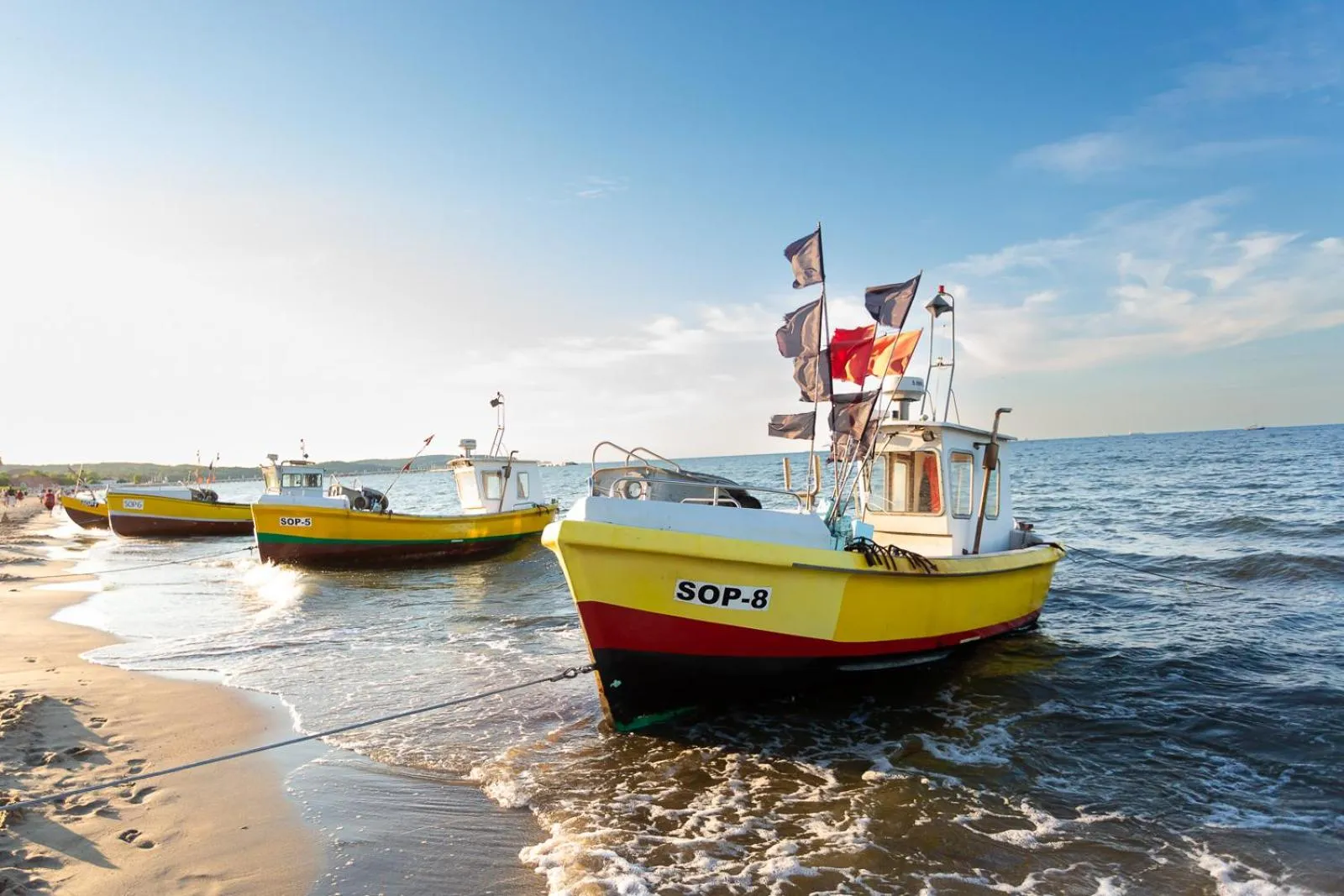 Off site in Moon Apartments Gdańsk