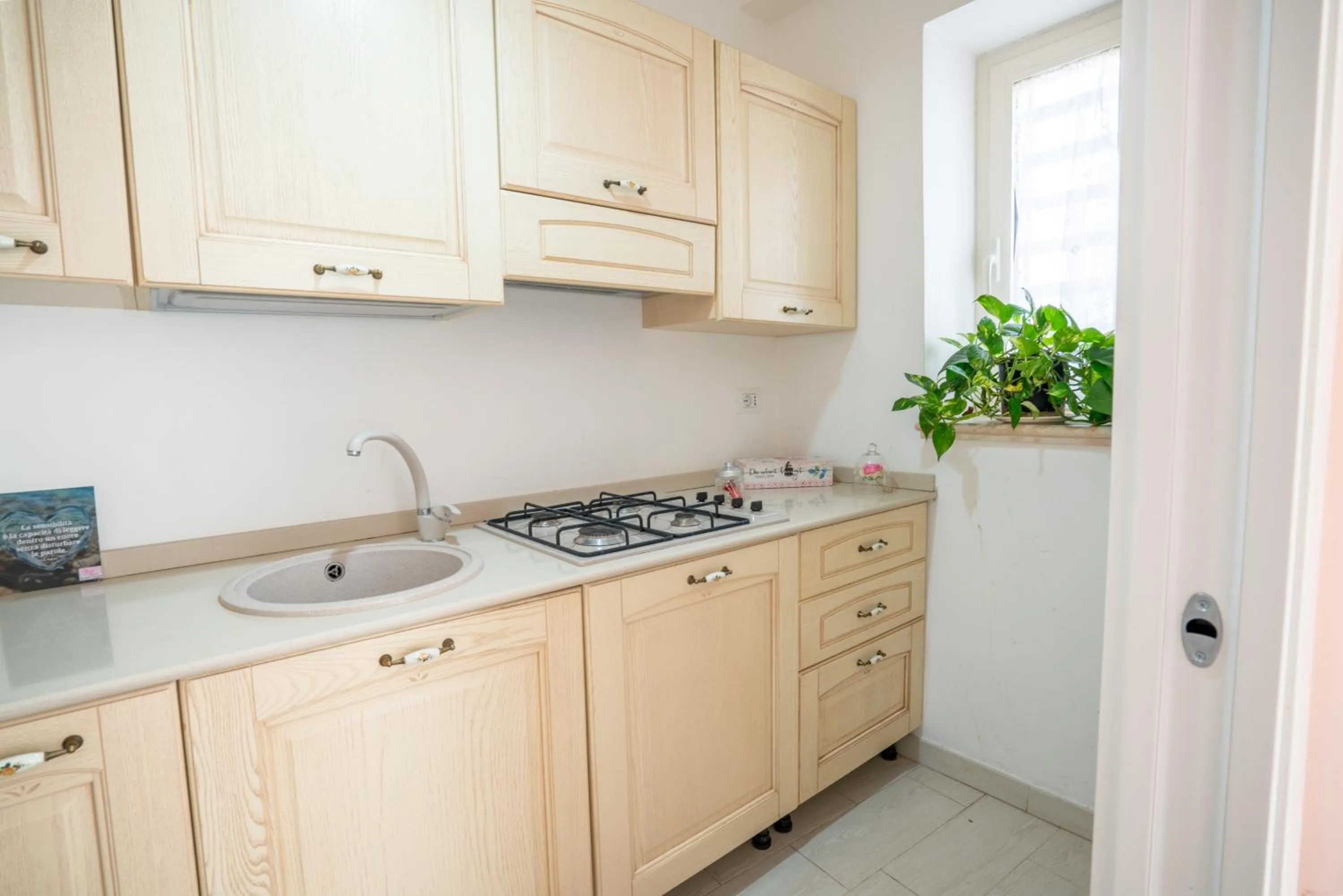 Kitchen or kitchenette in Petali Rosa - Dimora Peonia