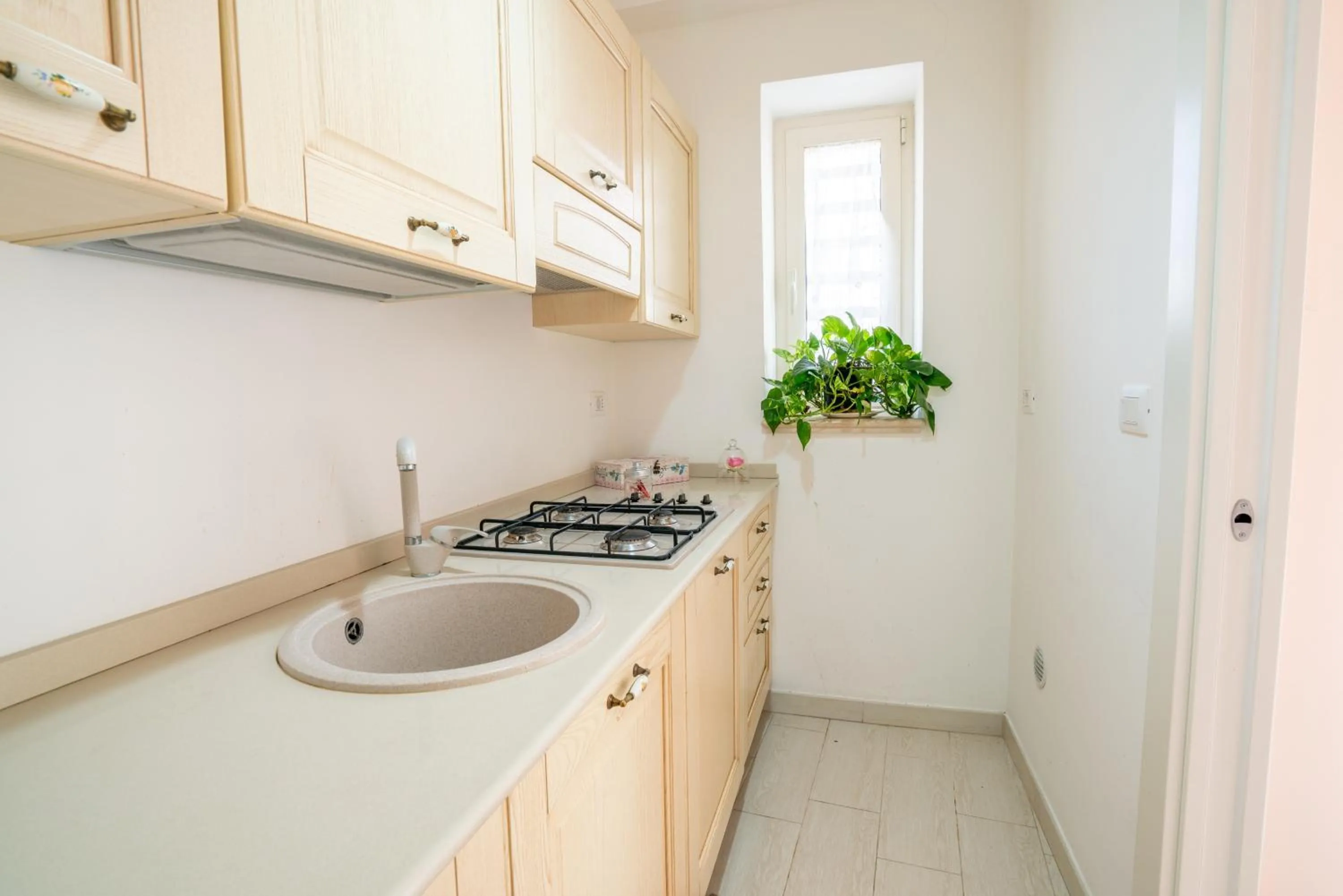 Kitchen or kitchenette in Petali Rosa - Dimora Peonia