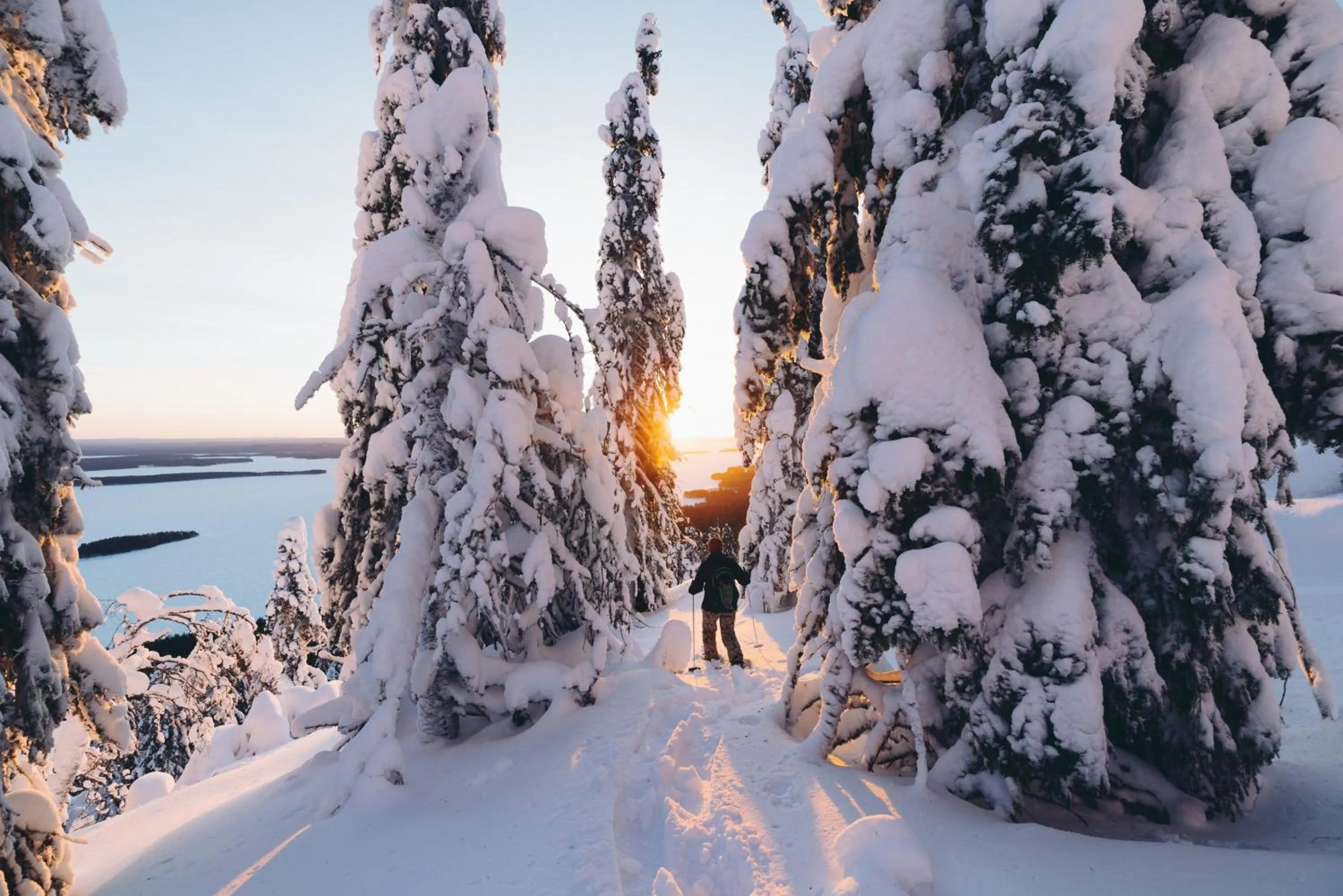 Natural landscape in Break Sokos Hotel Koli Kylä