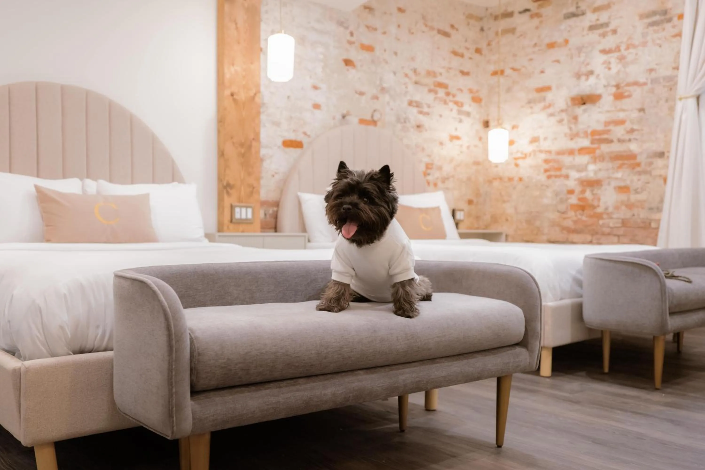 Bed in The Chandler Hotel