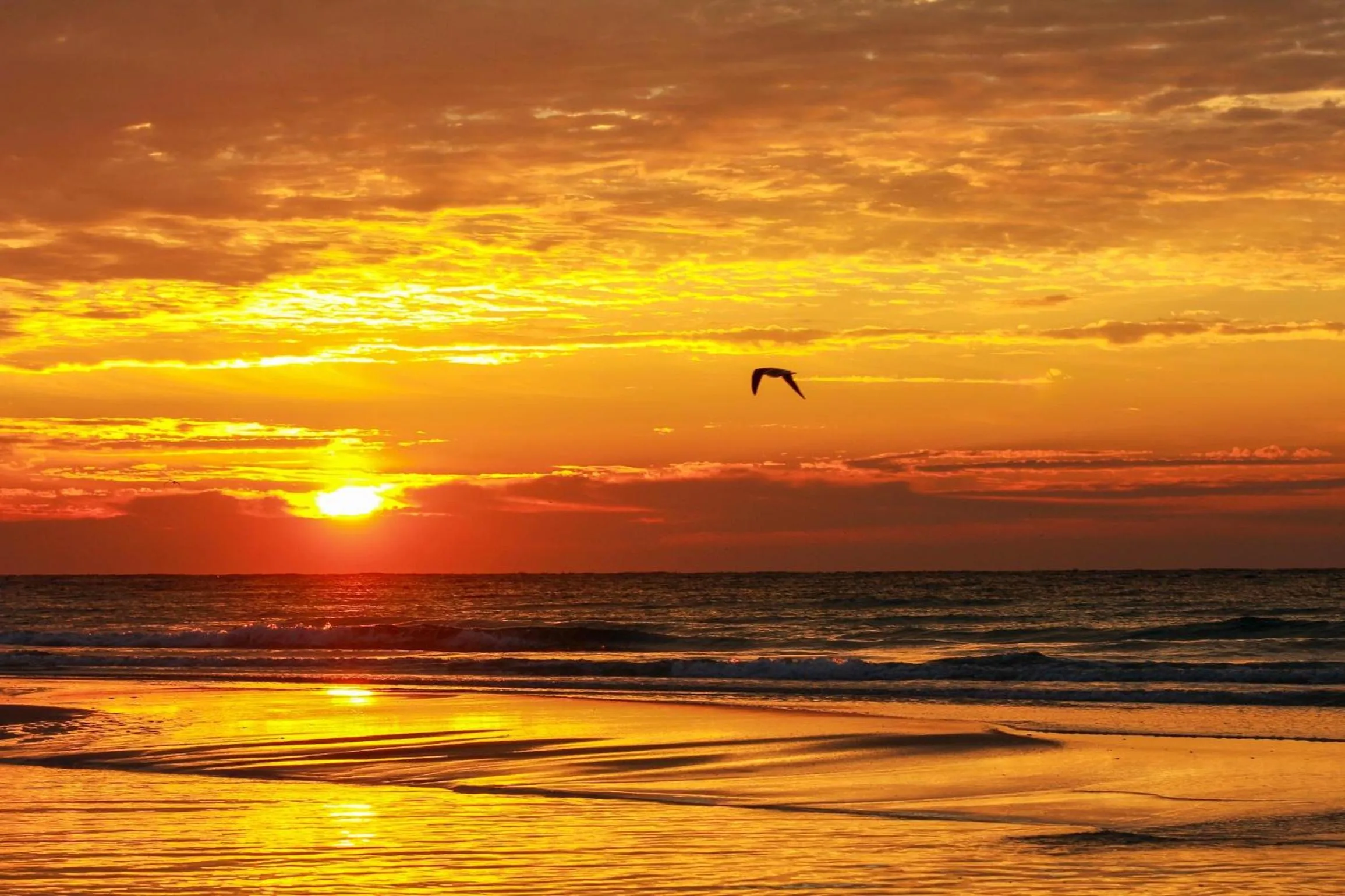 Portofino Island Resort 1- 809