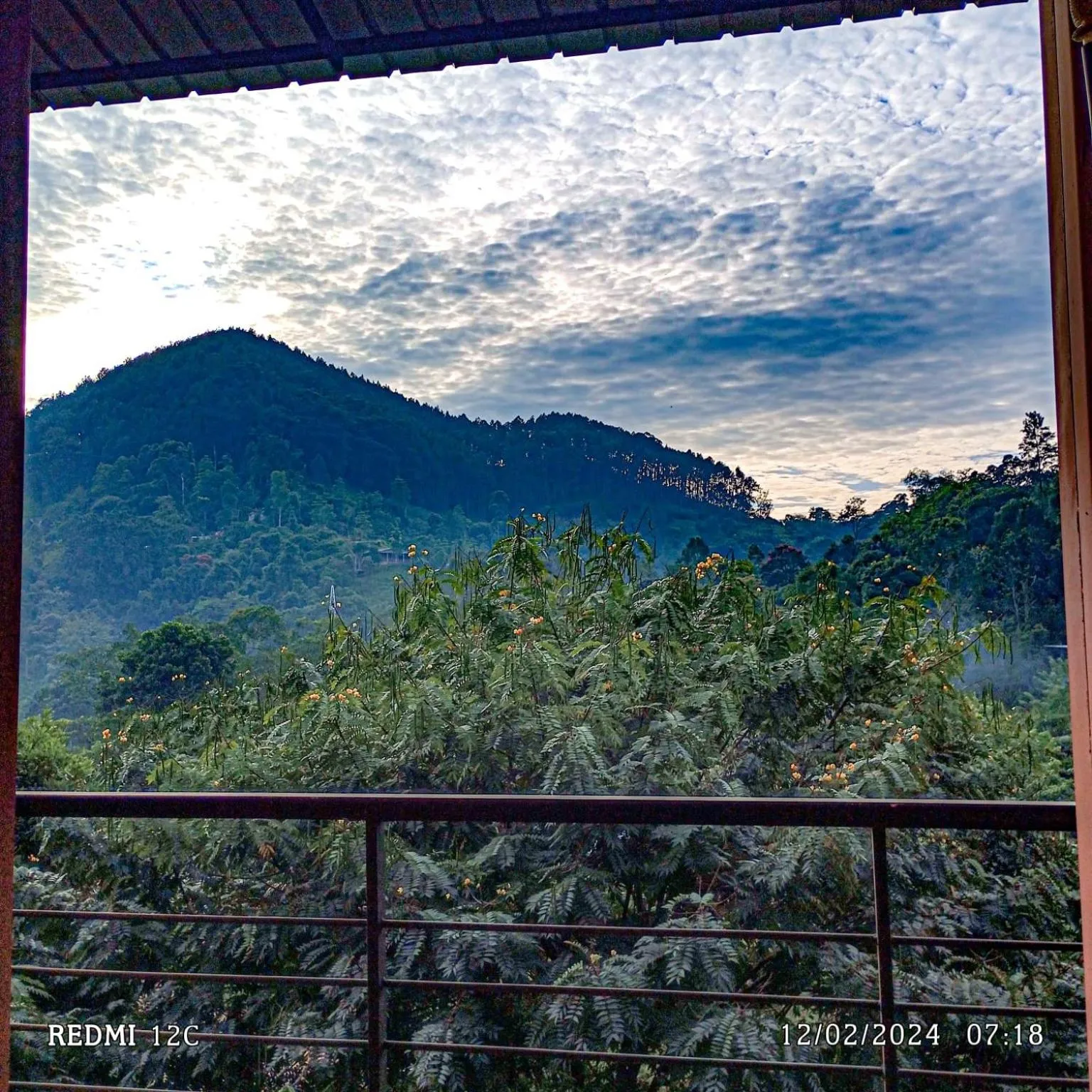 Day in The Cubes Ella