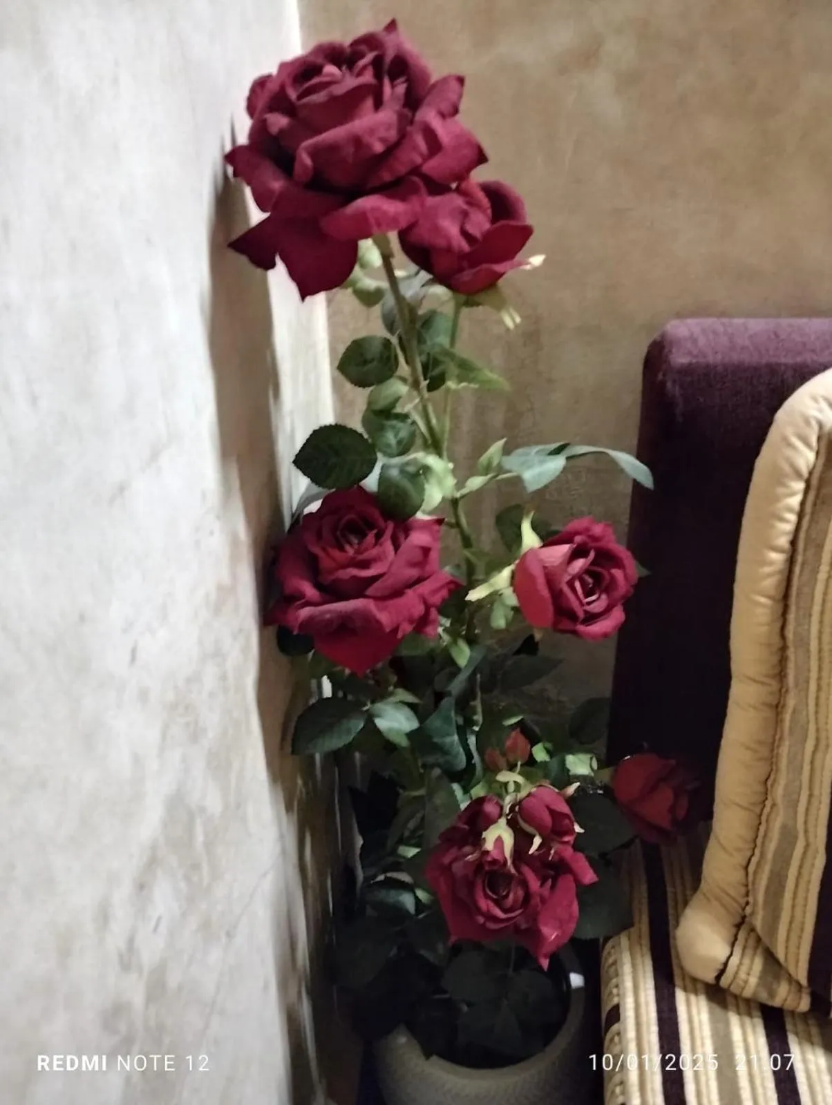 Riad Mille Et Une Nuits