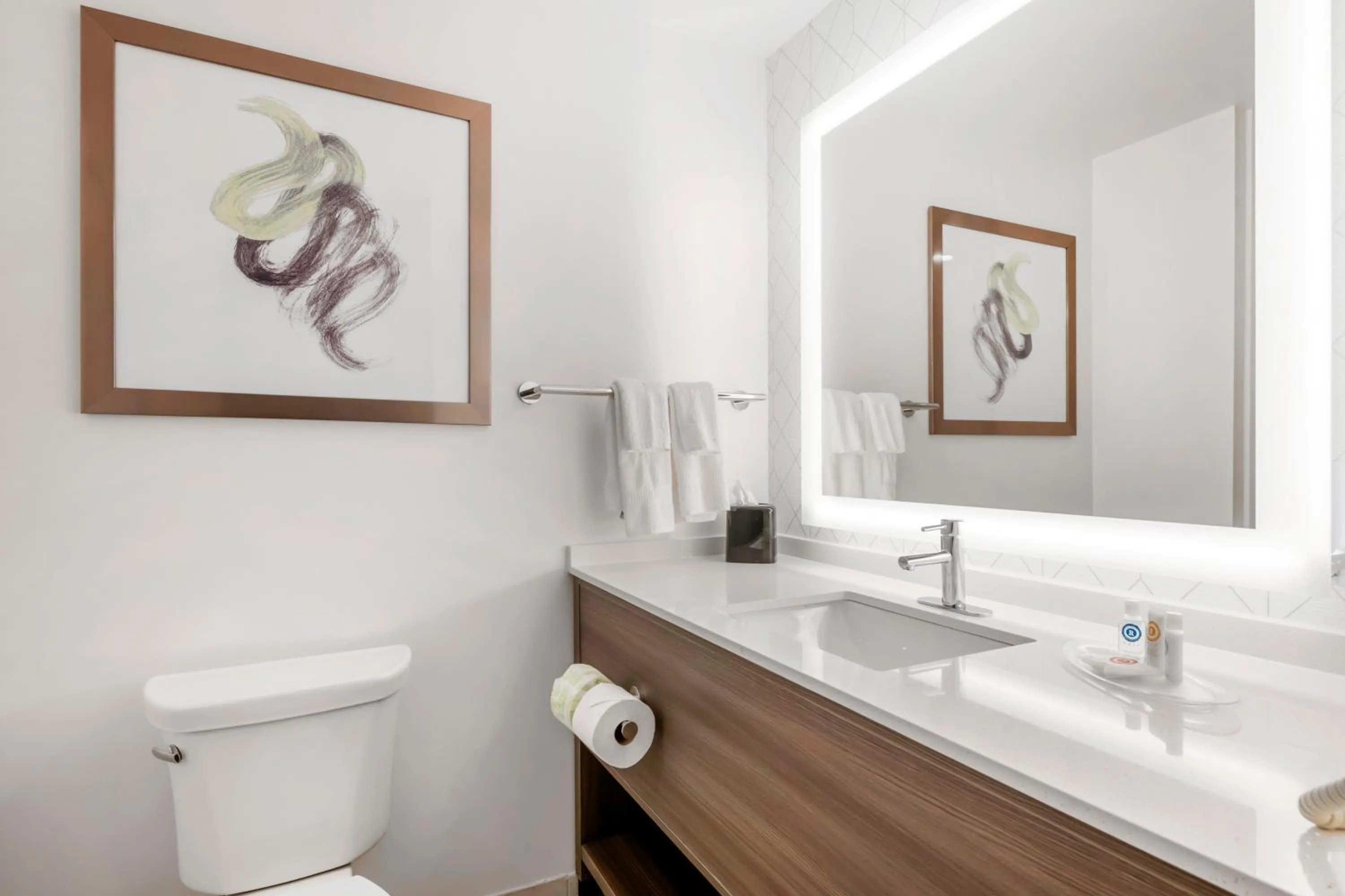 Bathroom in Comfort Suites St Augustine Historic District Area