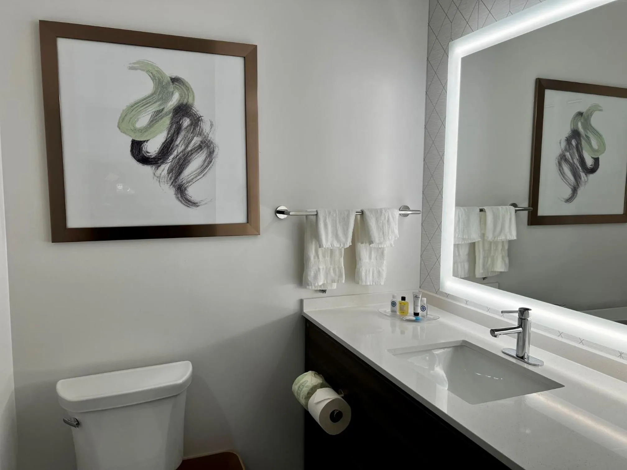 Bathroom in Comfort Suites St Augustine Historic District Area