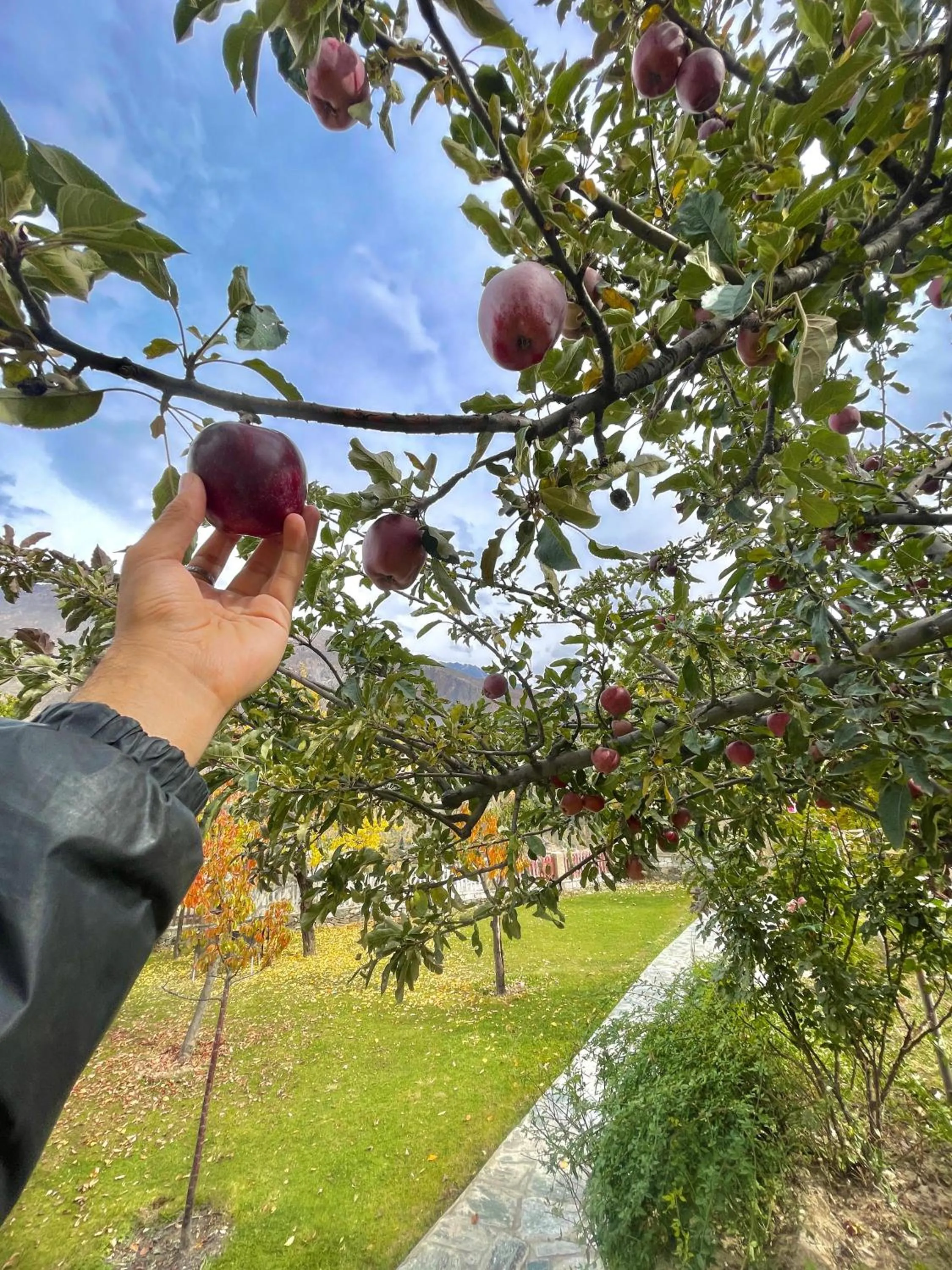 Garden in Dumani Nagar Hotel & Resort