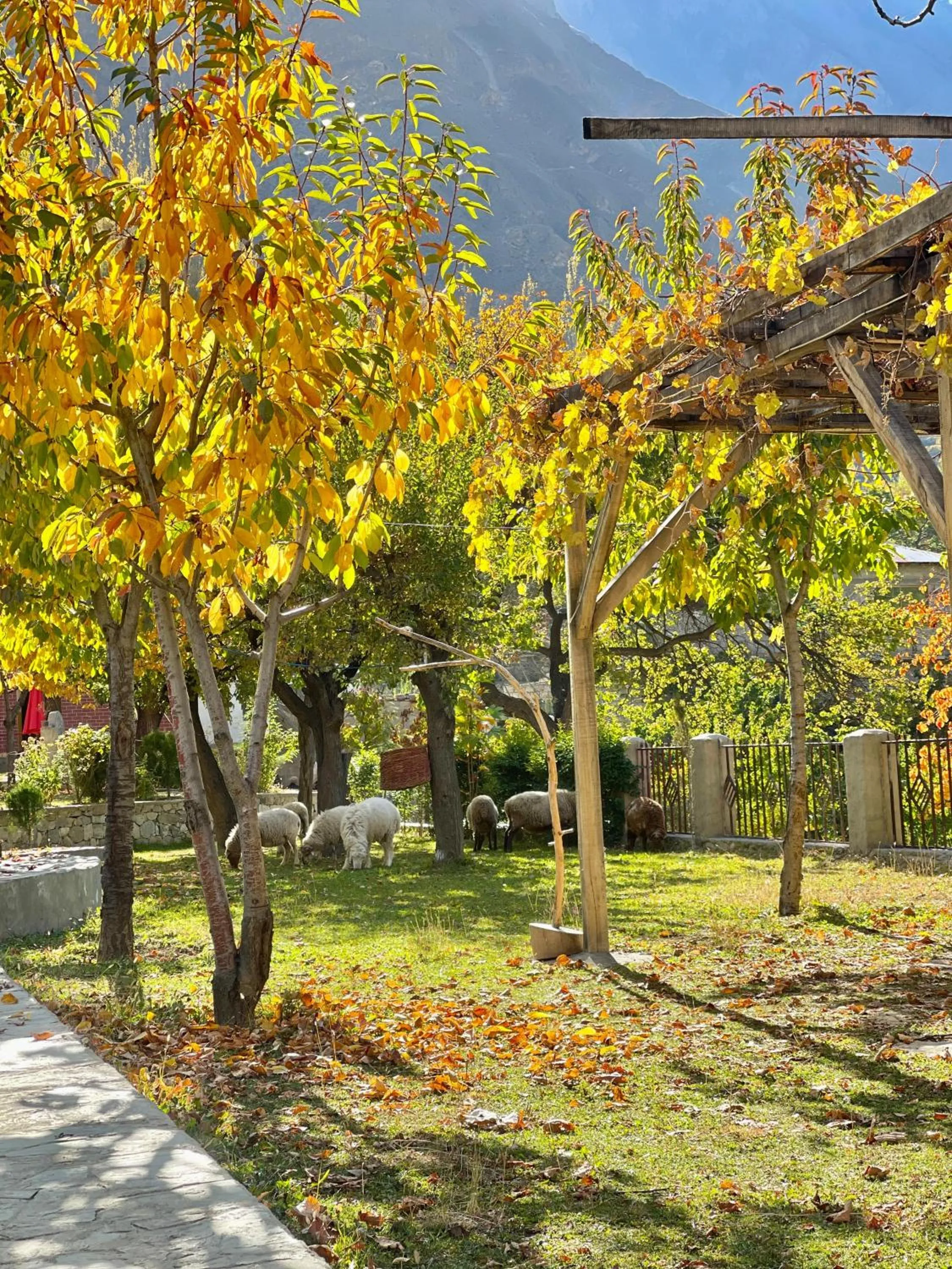 Garden in Dumani Nagar Hotel & Resort