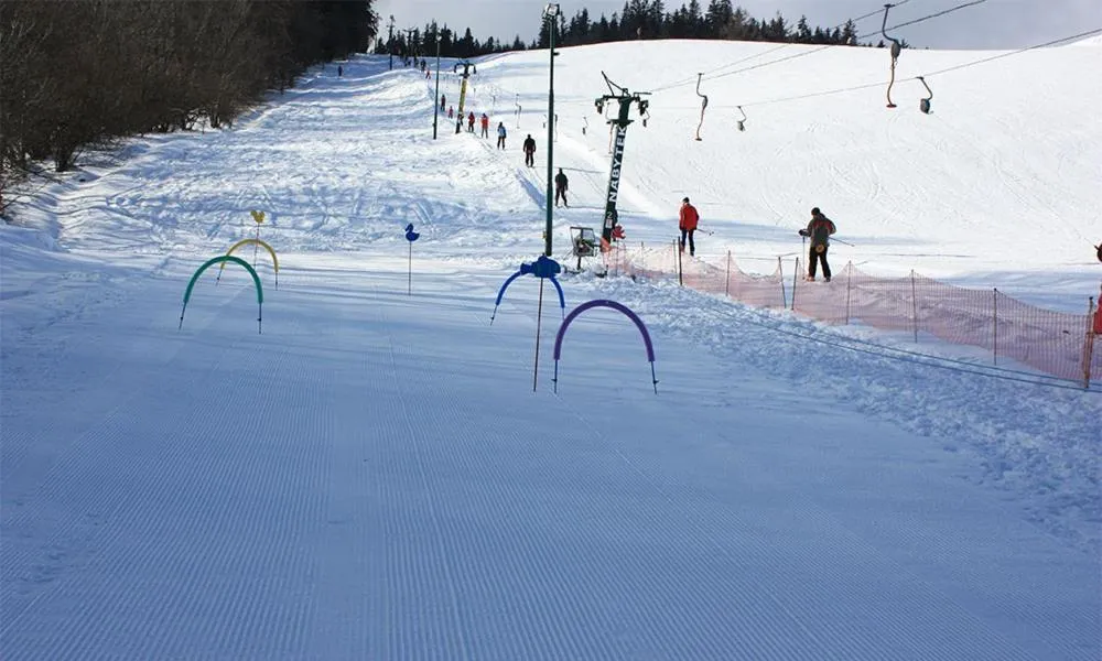 Skiing in Hotel Vintíř