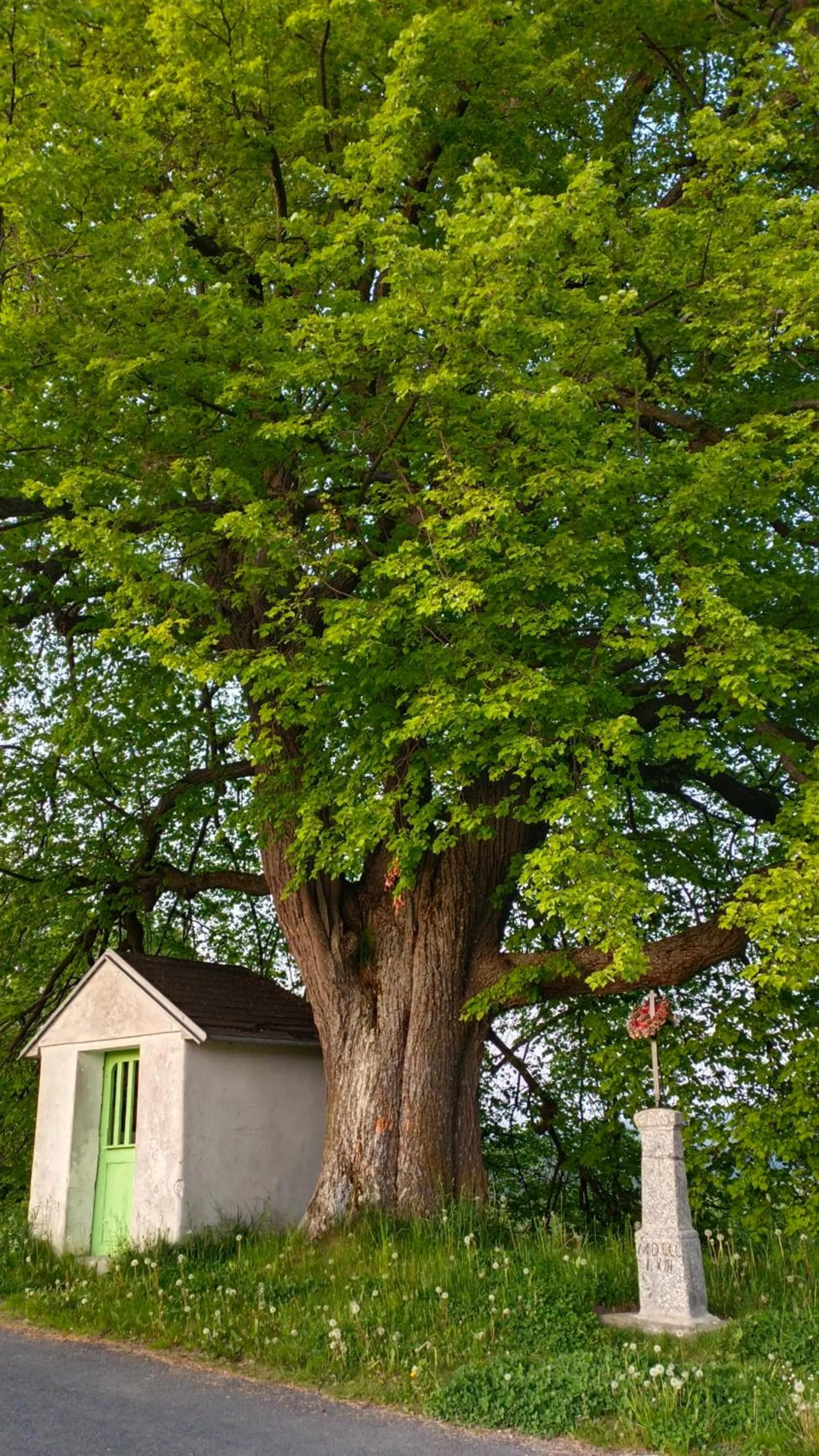 Off site in Hotel Vintíř