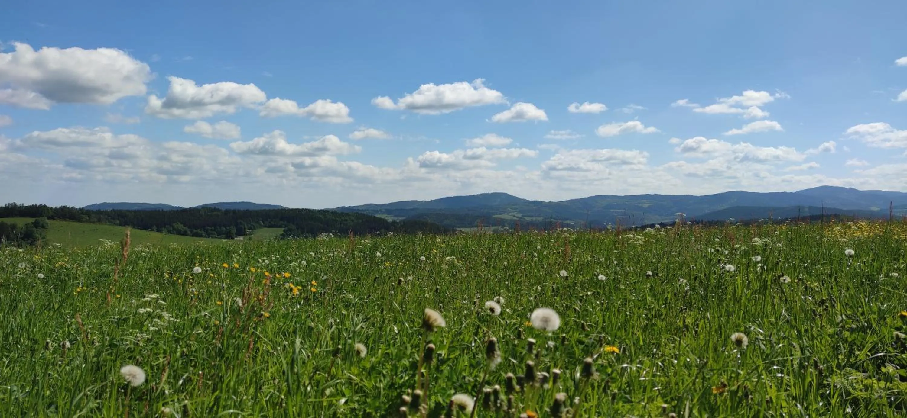 Nearby landmark in Hotel Vintíř