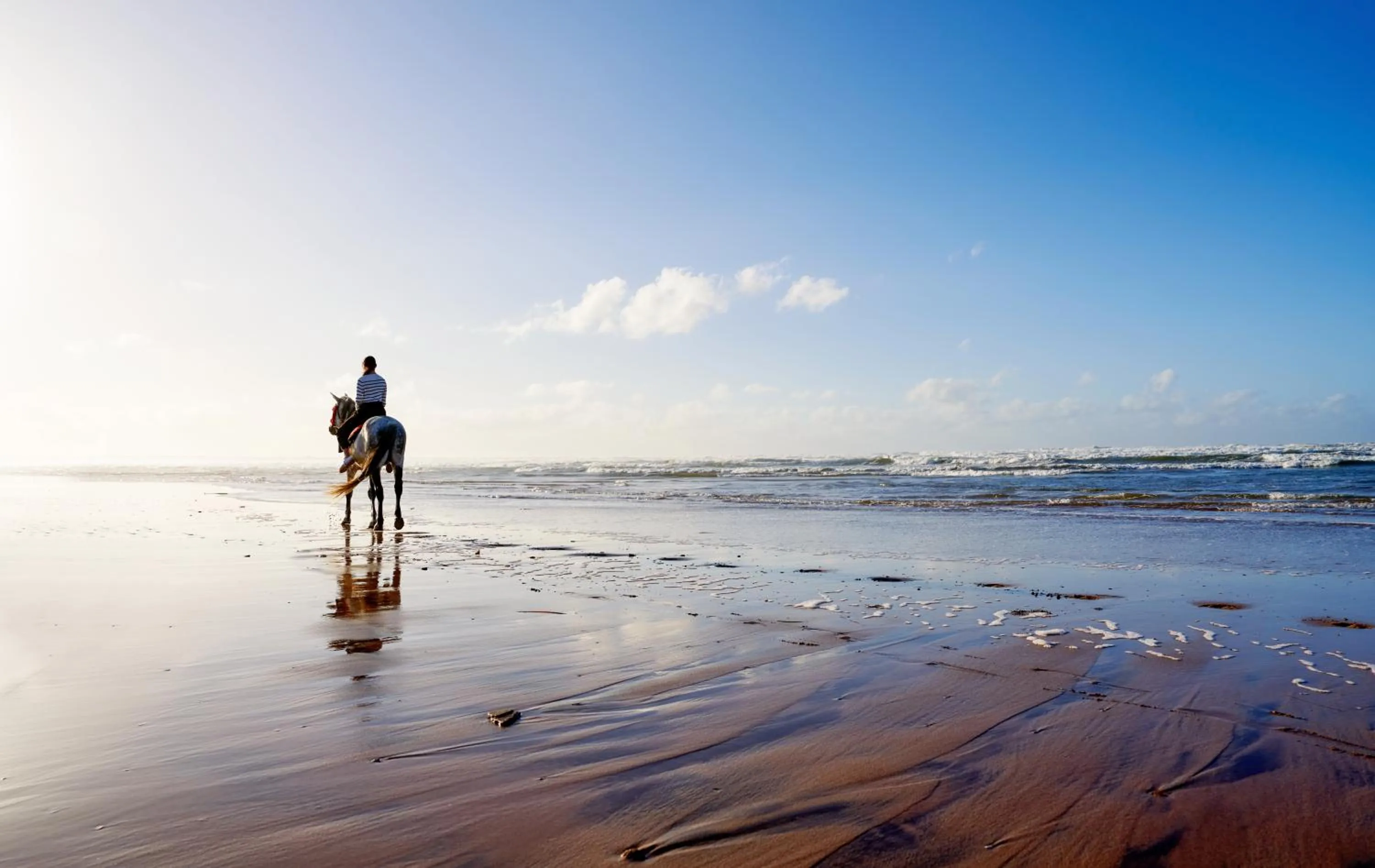 Day in Pullman Mazagan Royal Golf & Spa